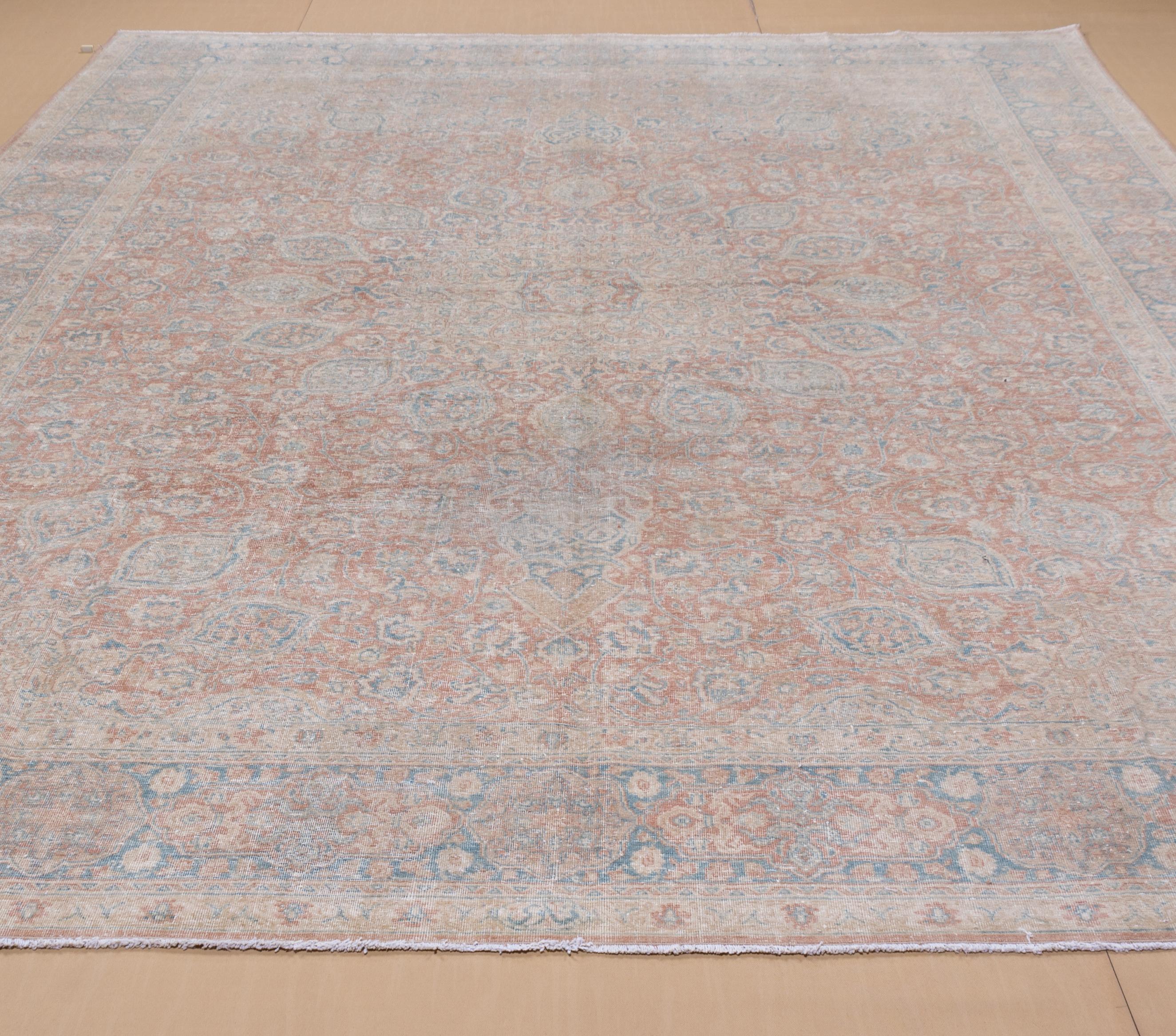 Vintage Persian Kashan Carpet with a Salmon Field and Blue Borders For Sale 1