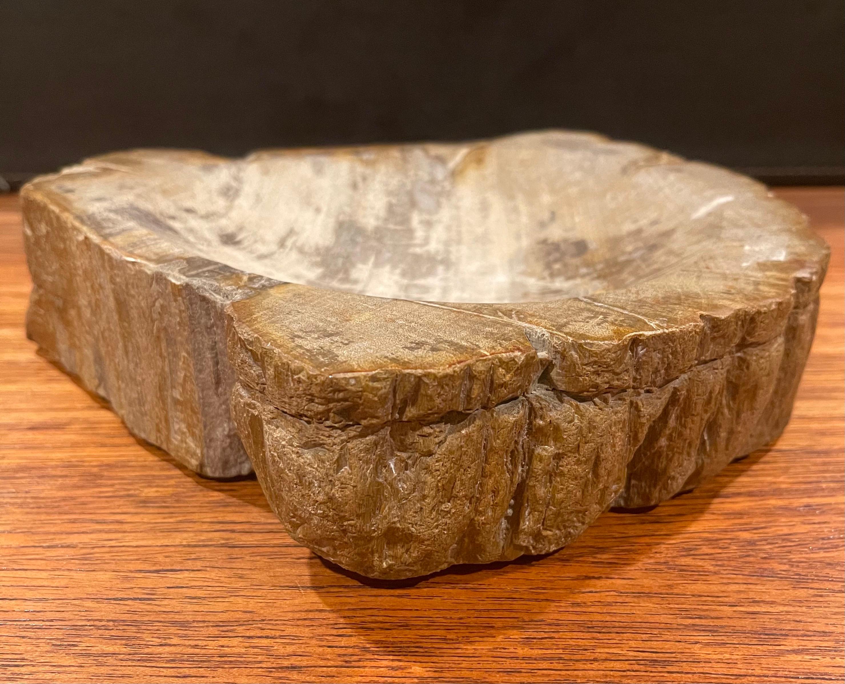 African Vintage Petrified Wood Bowl / Ashtray