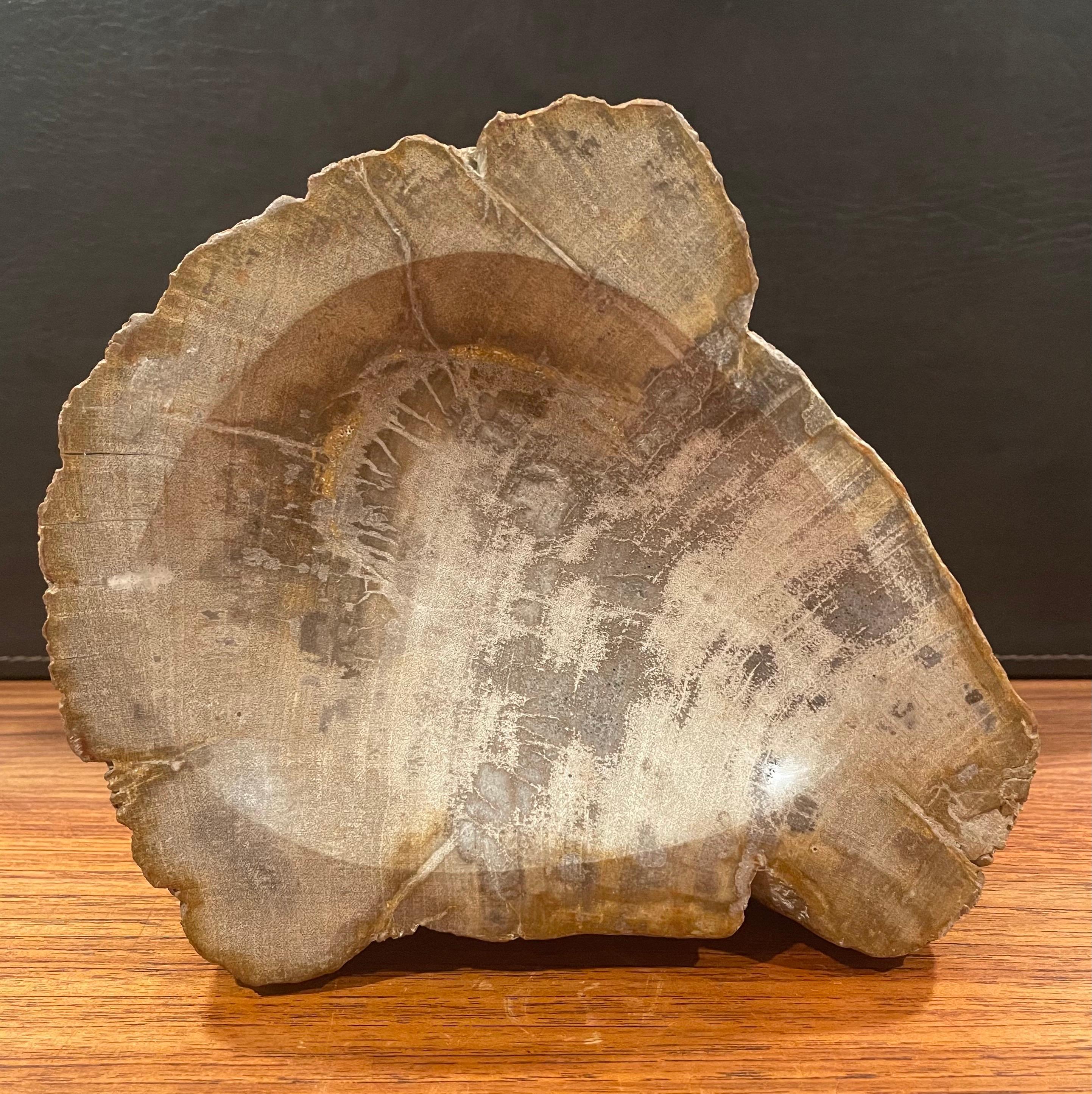 Vintage Petrified Wood Bowl / Ashtray 2
