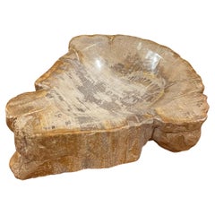 Vintage Petrified Wood Bowl / Ashtray