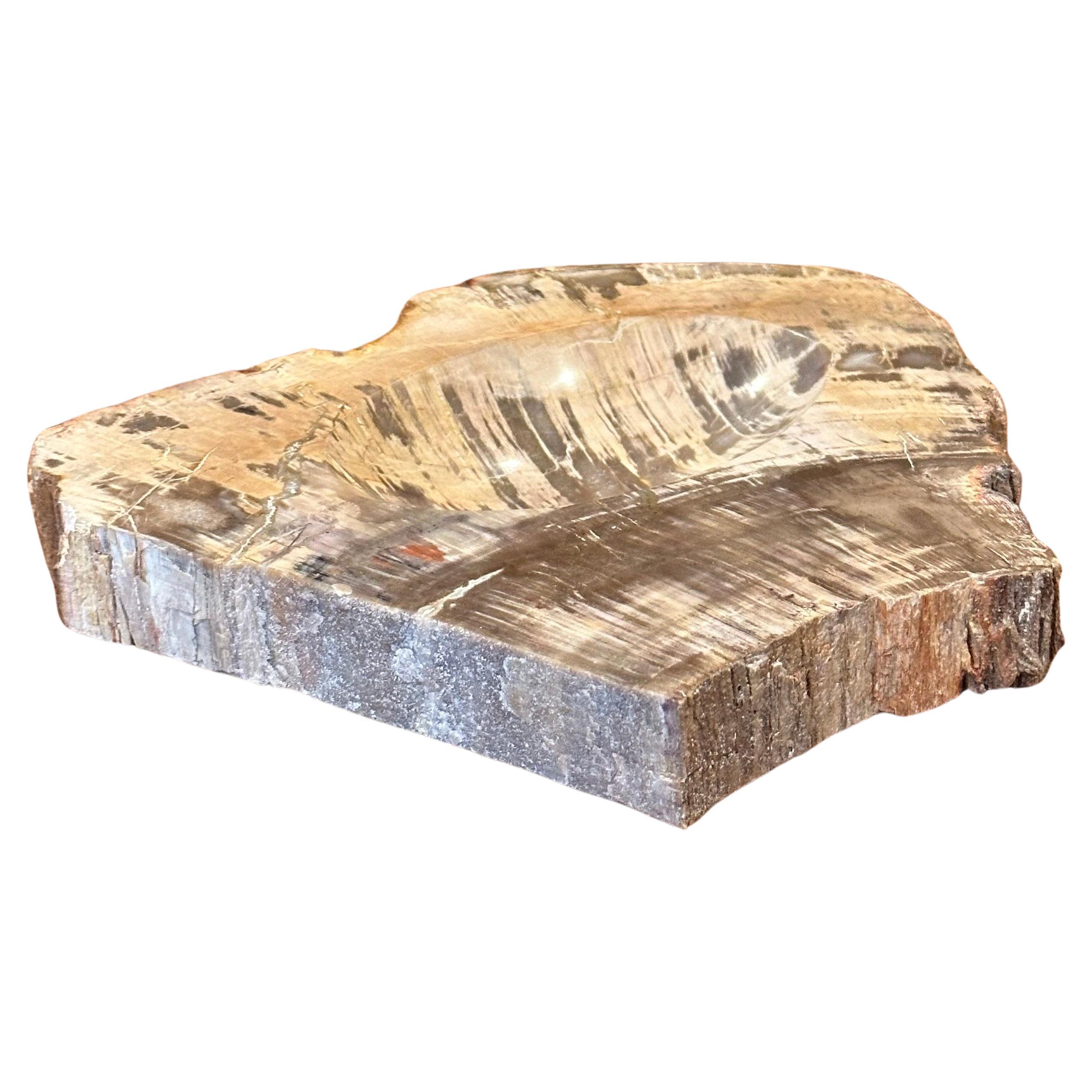 A very nice vintage petrified wood catch all / bowl, circa 1970s. The piece is in very good condition with wonderful brown and tan colors and measures 7