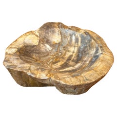 Cuenco vintage de madera petrificada