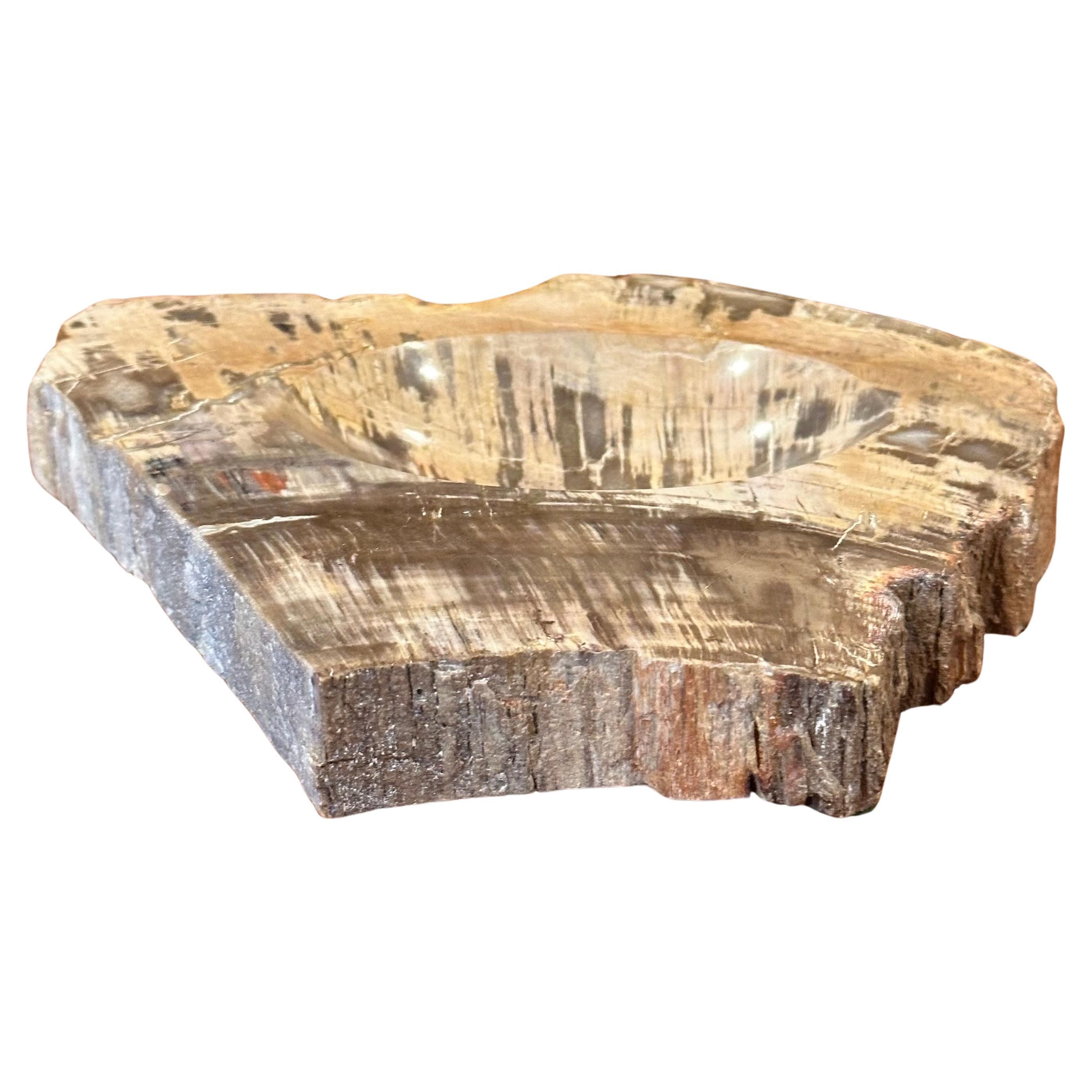 Mid-Century Modern Vintage Petrified Wood Catch-All Bowl For Sale