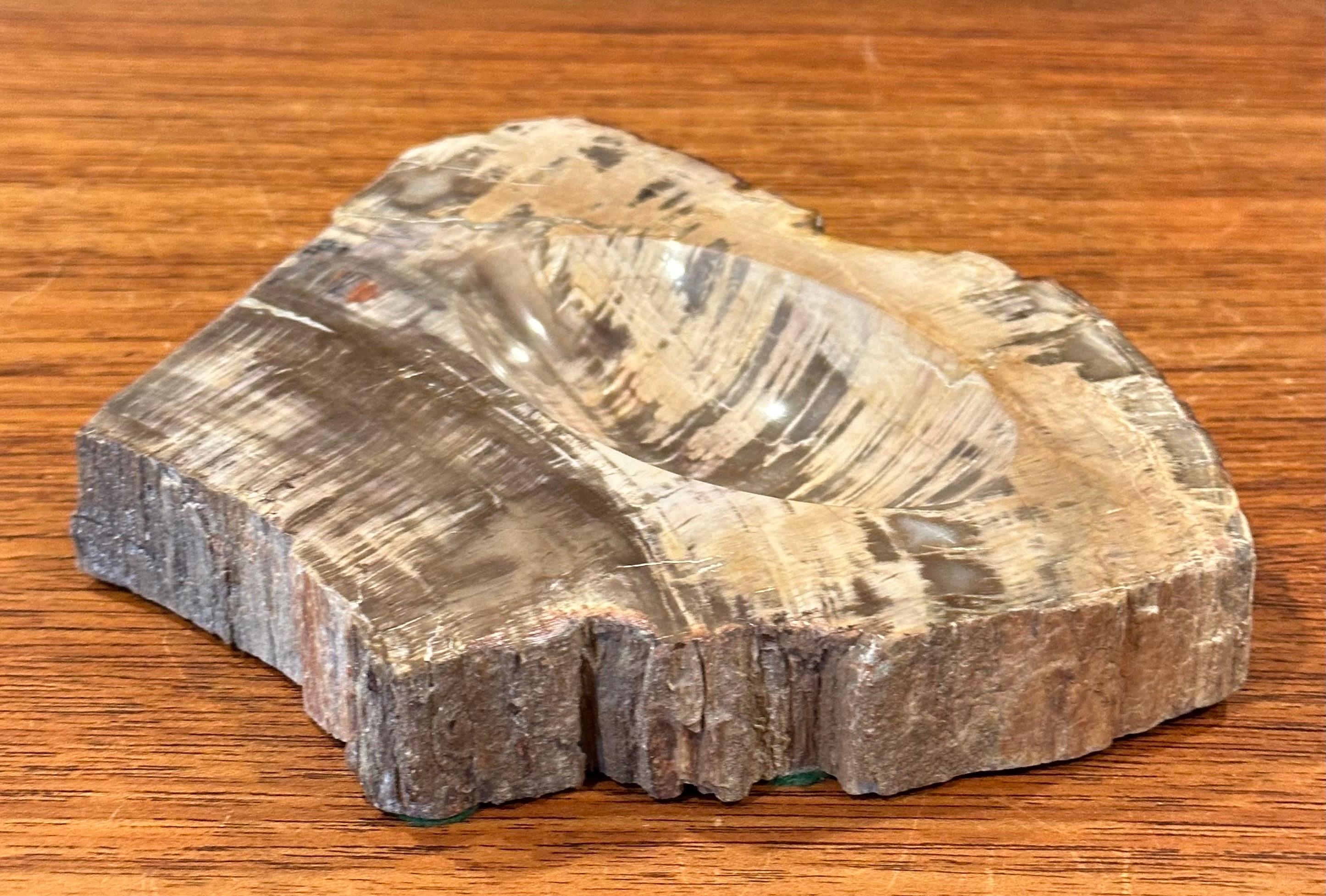 Vintage Petrified Wood Catch-All Bowl For Sale 1