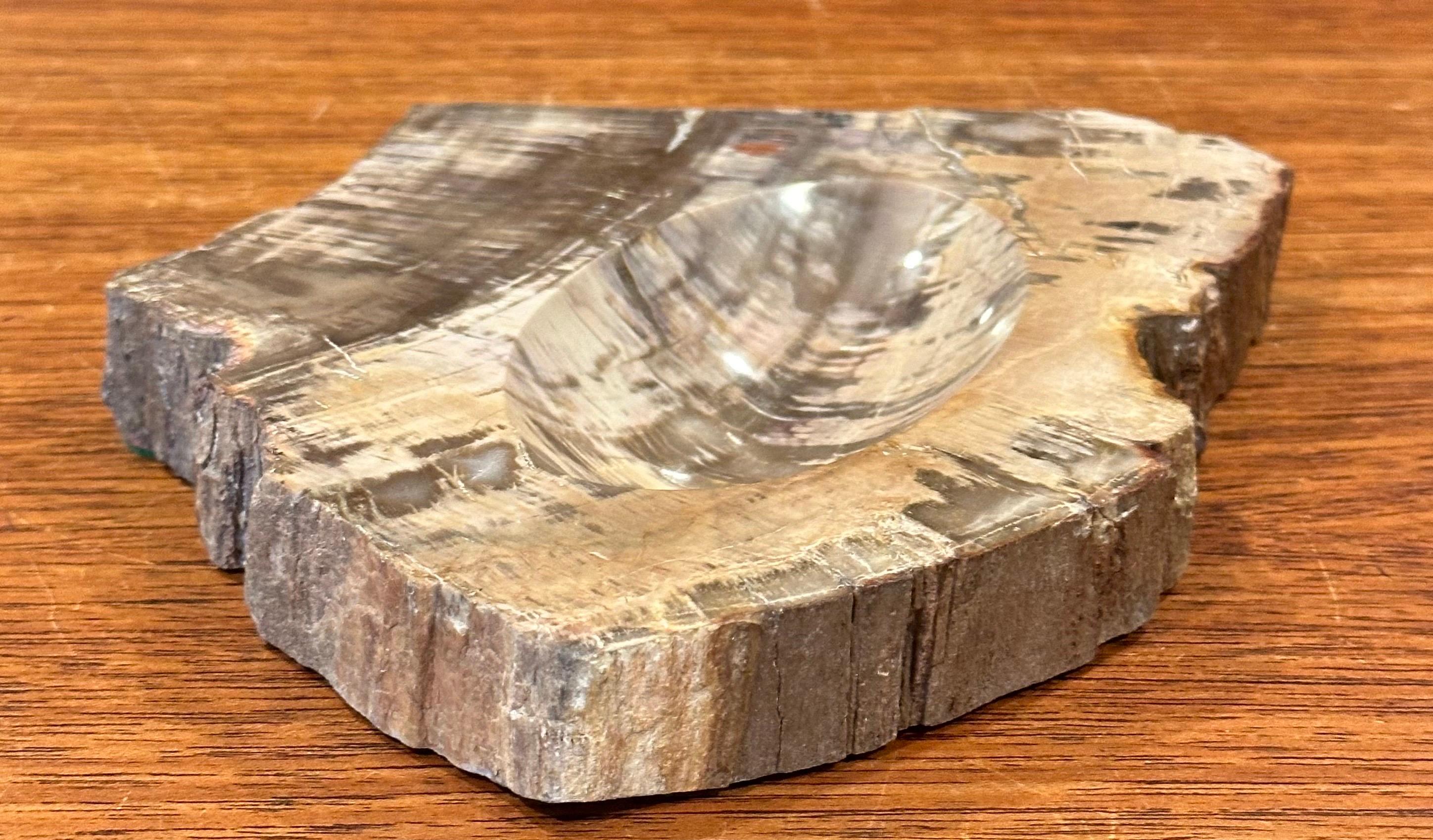 Vintage Petrified Wood Catch-All Bowl For Sale 2