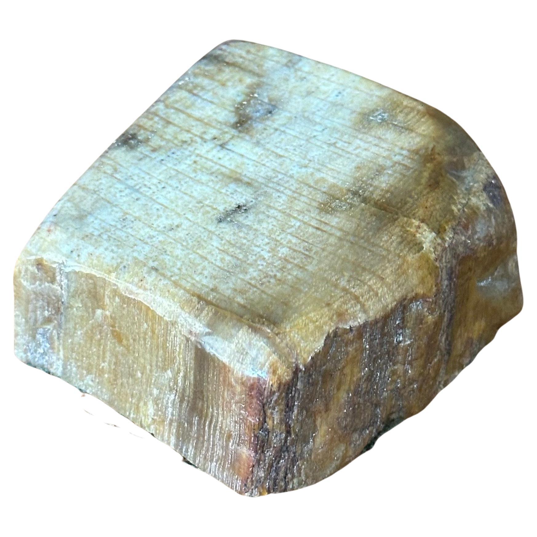Vintage Petrified Wood Paperweight For Sale 4