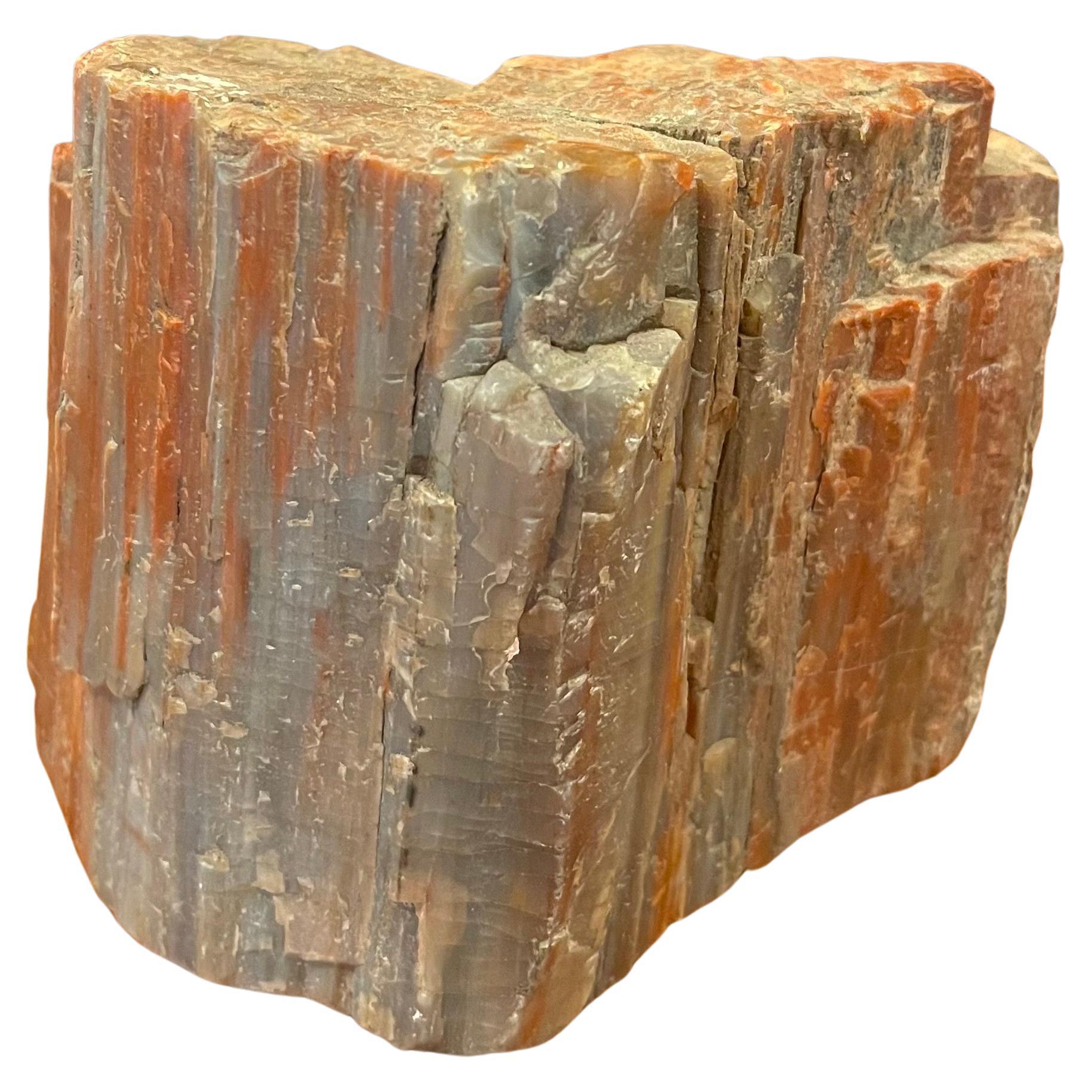 A very nice vintage petrified wood paper weight, circa 1960s. The piece is in very good condition with wonderful brown and tan colors and measures 5
