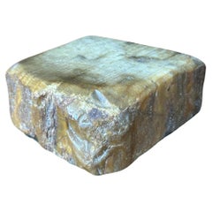 Vintage Petrified Wood Paperweight