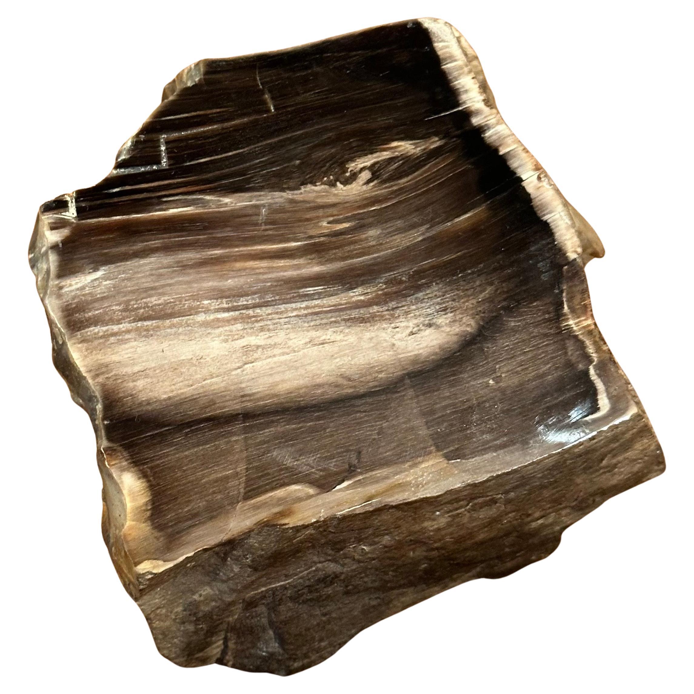 A very nice vintage petrified wood paper weight, circa old! The piece is in very good condition with wonderful brown and tan colors and measures 4