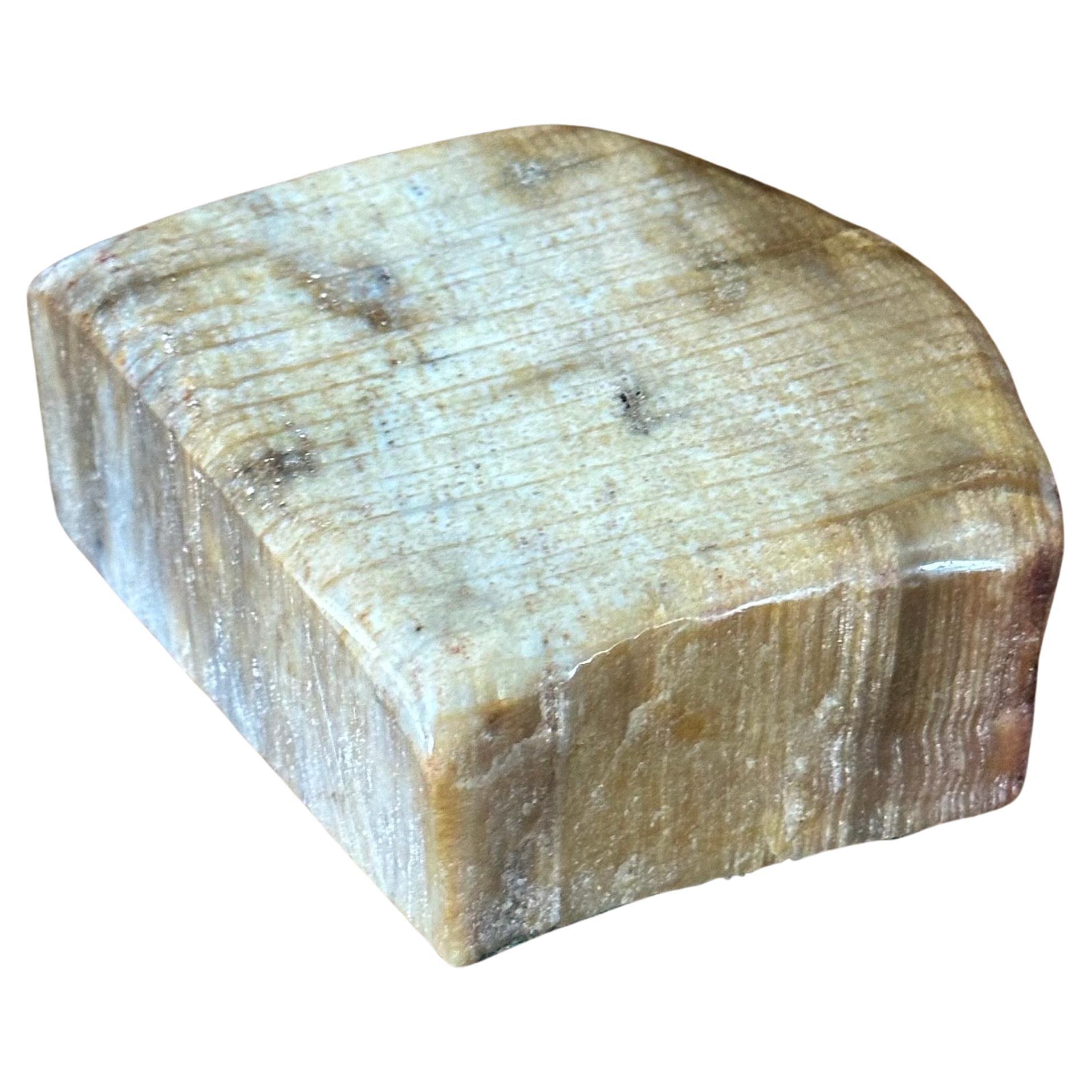 Mid-Century Modern Vintage Petrified Wood Paperweight For Sale