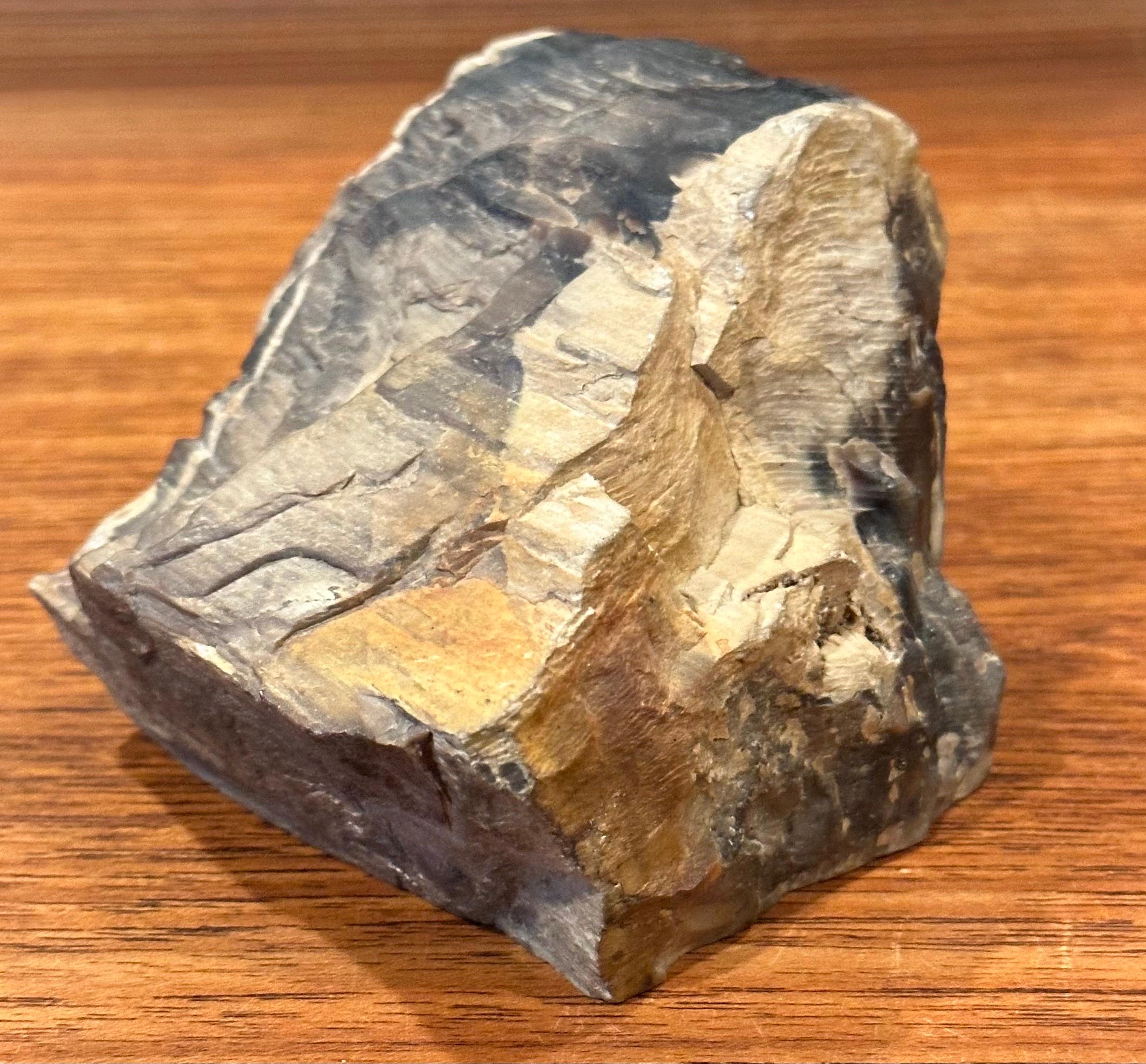 Congolese Vintage Petrified Wood Paperweight For Sale