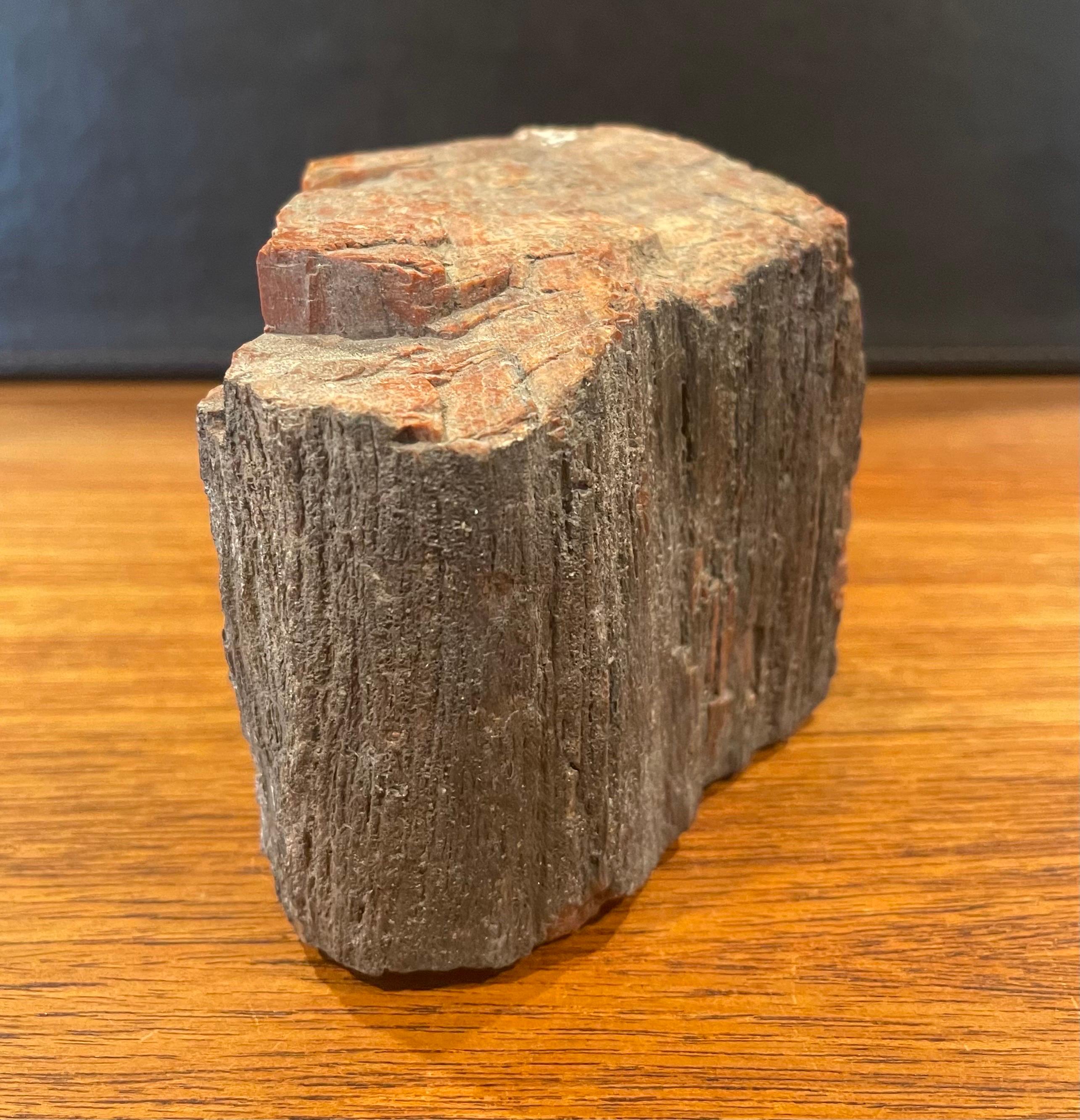 Vintage Petrified Wood Paperweight In Good Condition For Sale In San Diego, CA