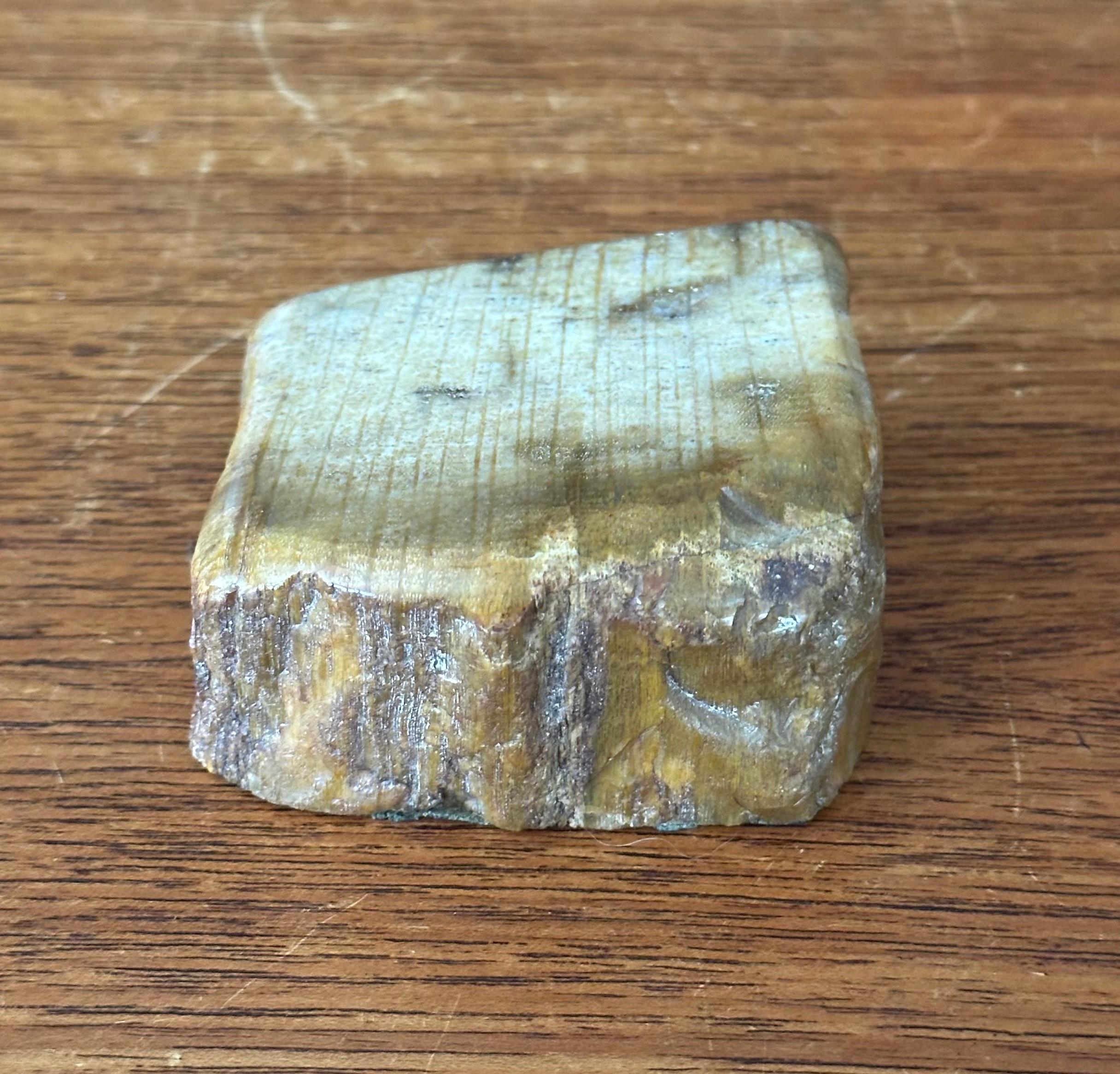 Vintage Petrified Wood Paperweight In Good Condition For Sale In San Diego, CA