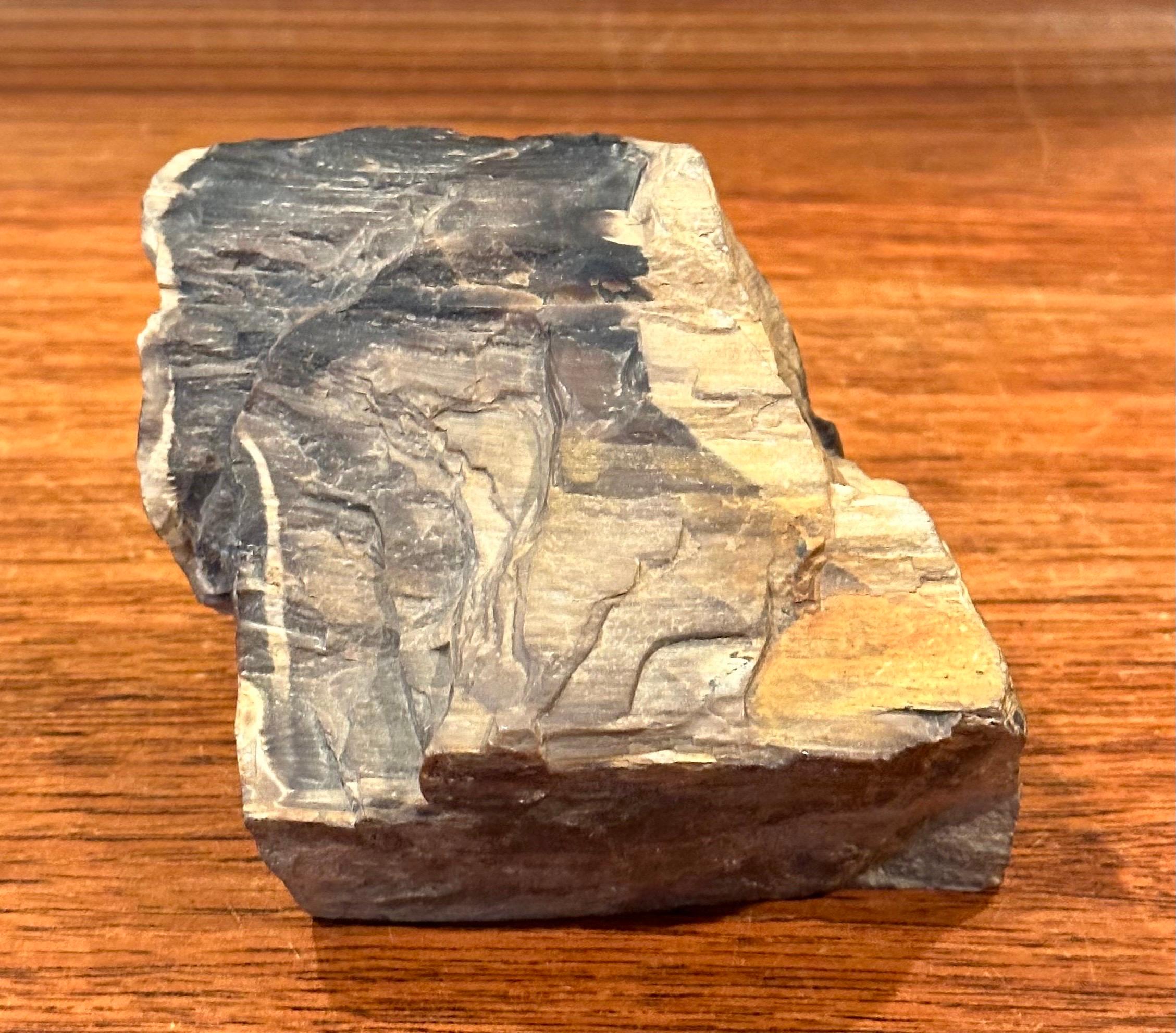 Vintage Petrified Wood Paperweight In Good Condition For Sale In San Diego, CA