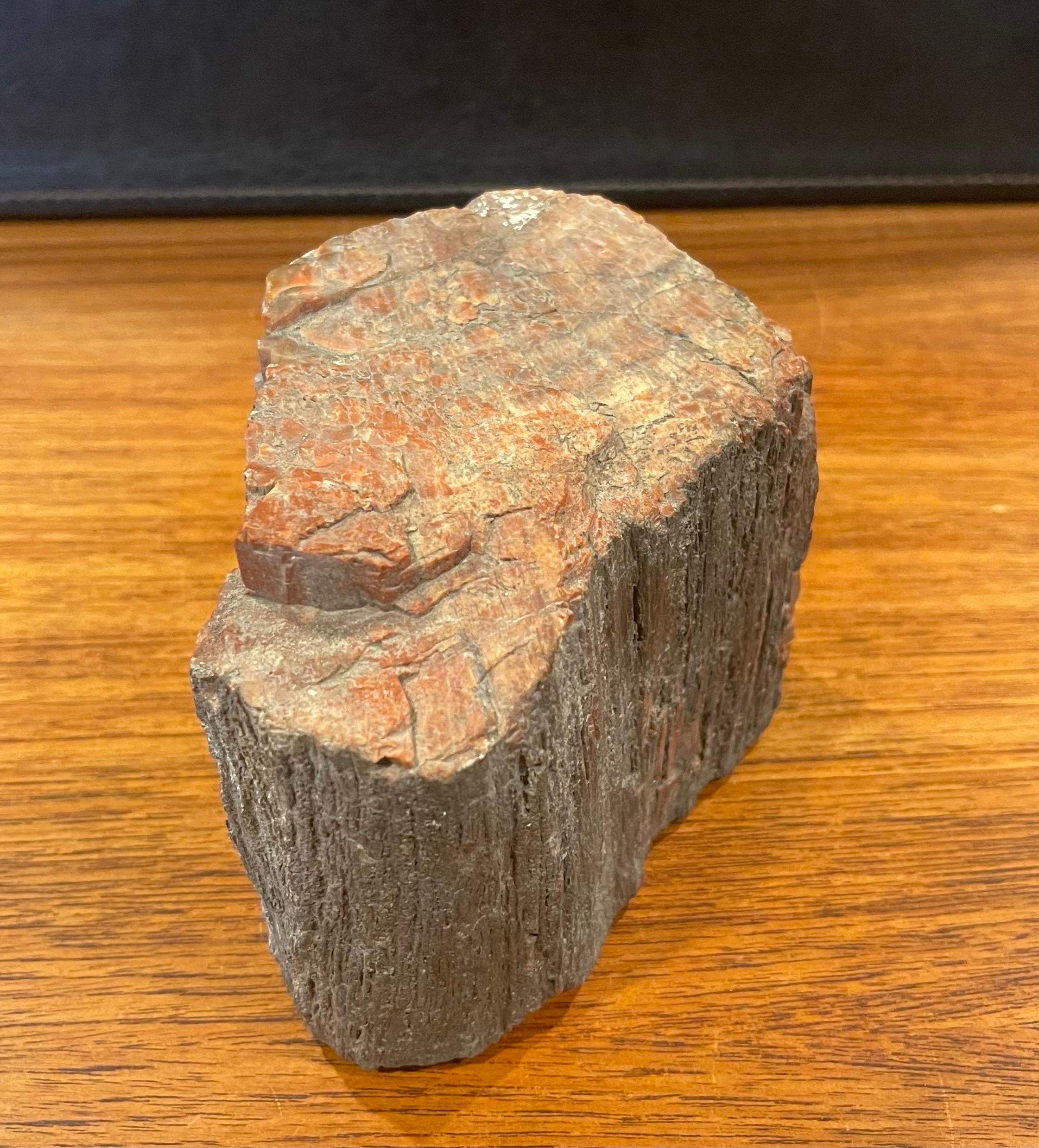 18th Century and Earlier Vintage Petrified Wood Paperweight For Sale