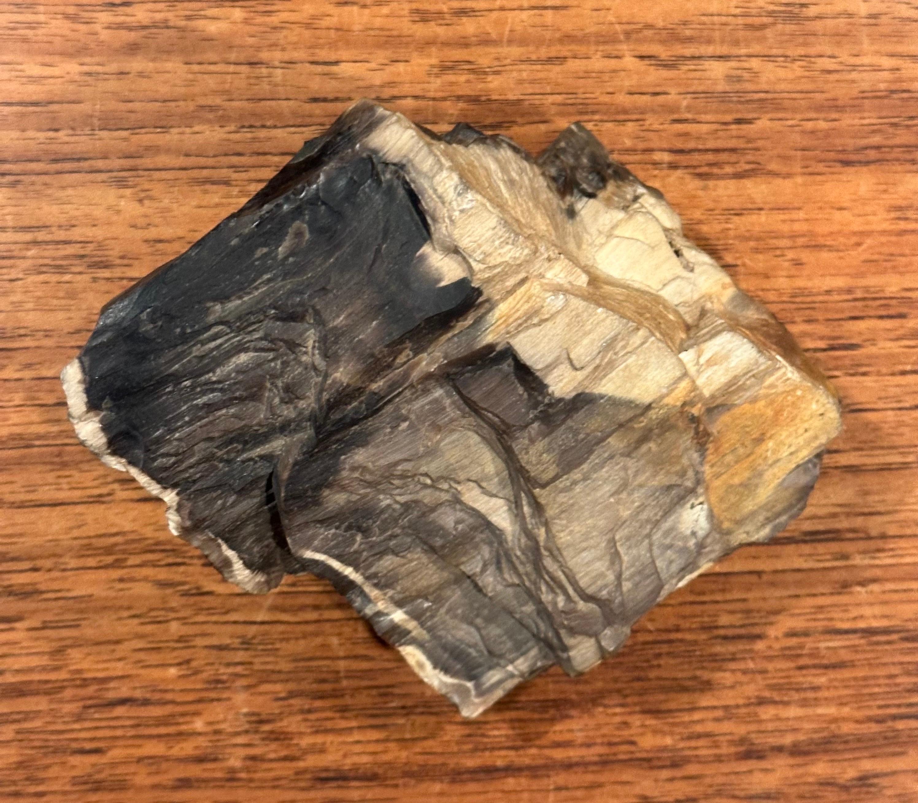 18th Century and Earlier Vintage Petrified Wood Paperweight For Sale
