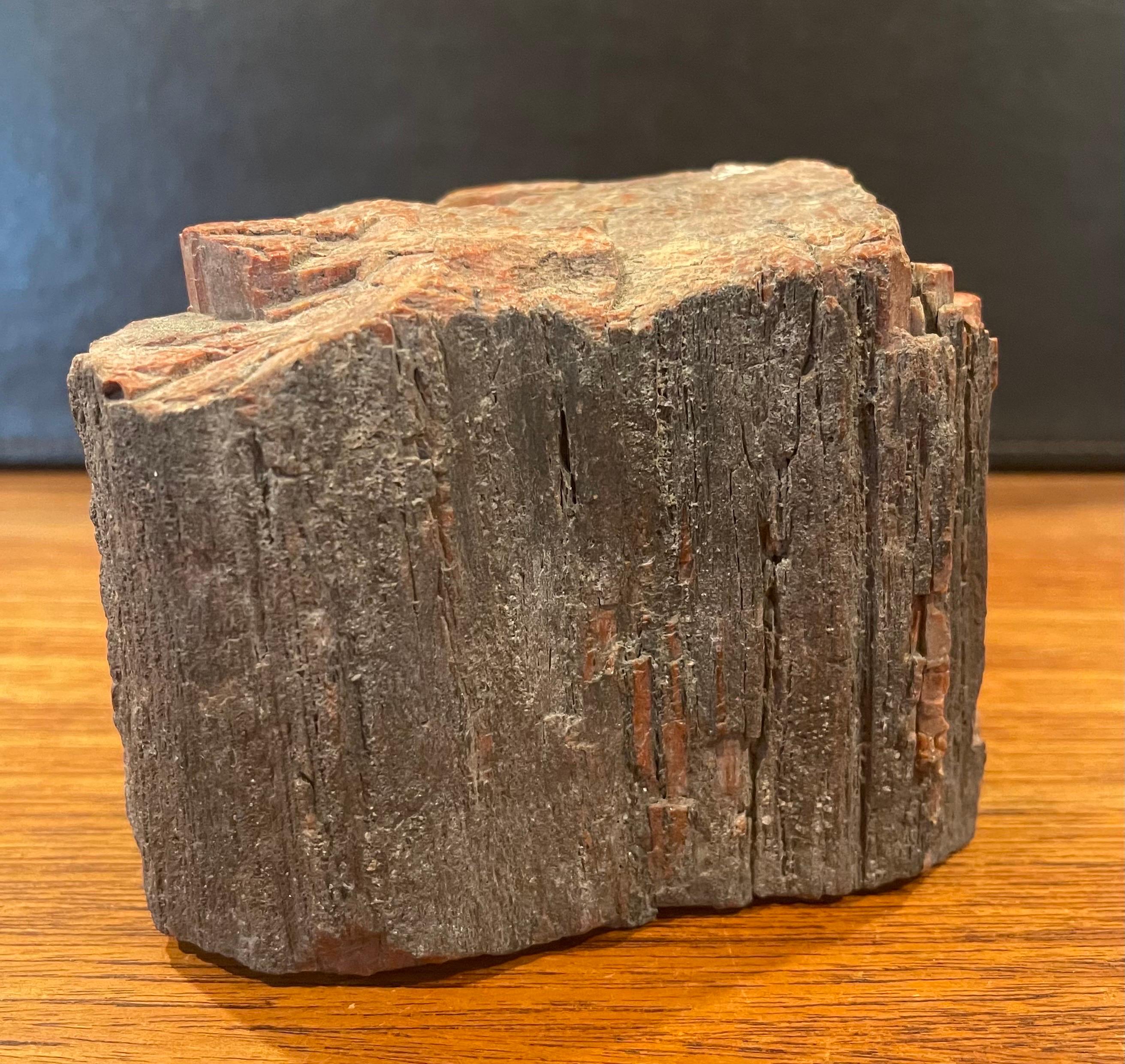 Vintage Petrified Wood Paperweight For Sale 1