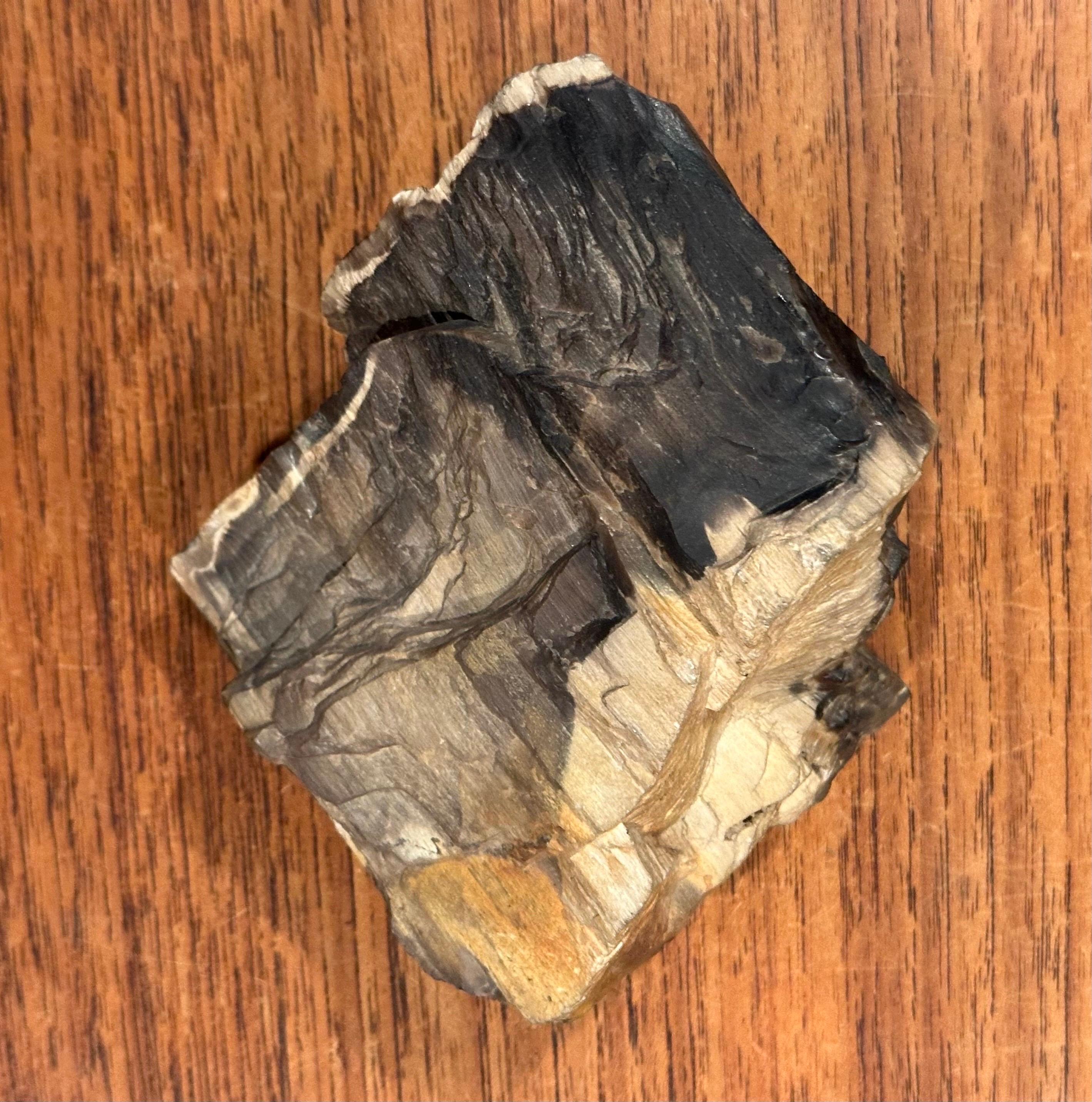 Vintage Petrified Wood Paperweight For Sale 1