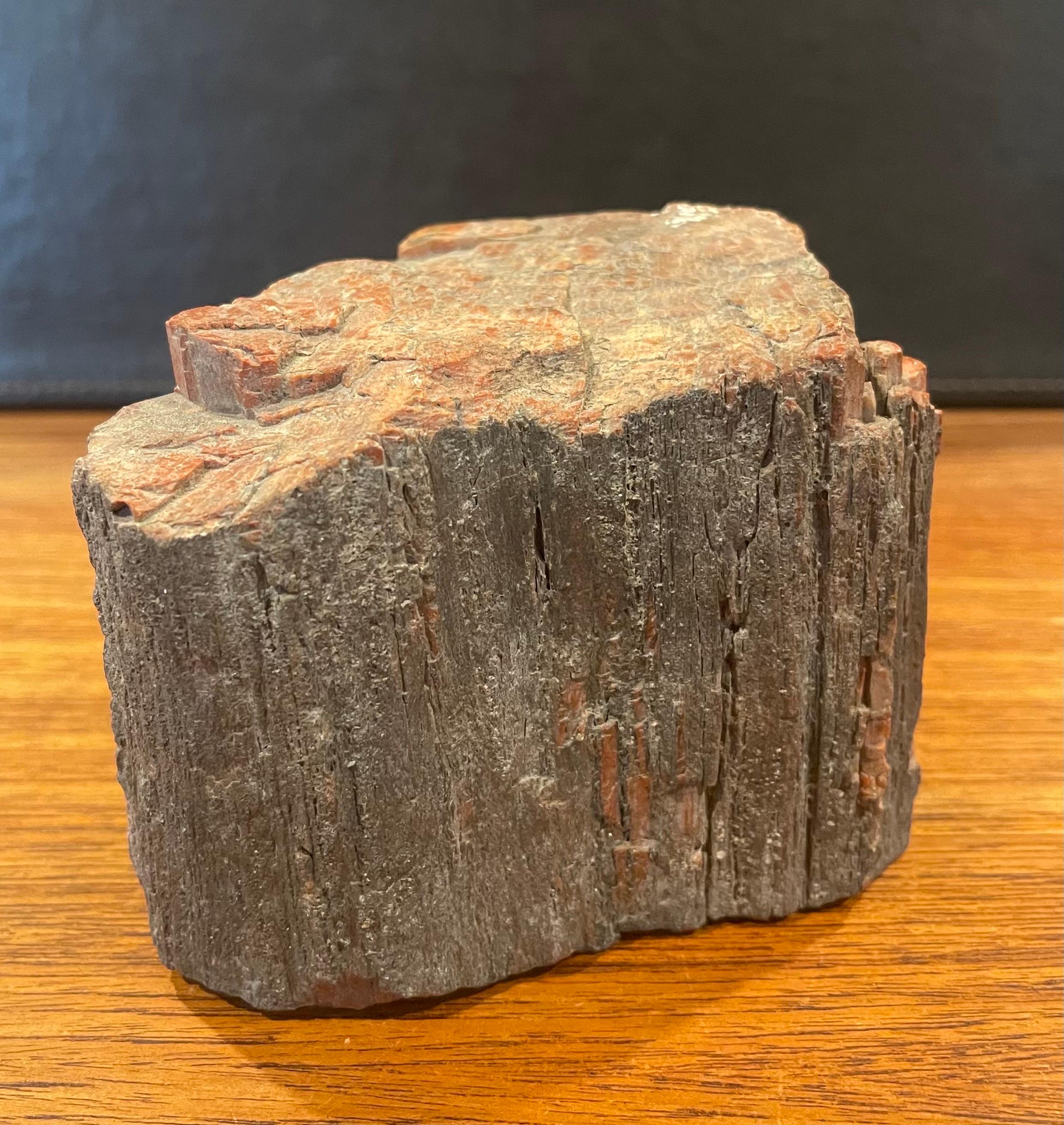 Vintage Petrified Wood Paperweight For Sale 2