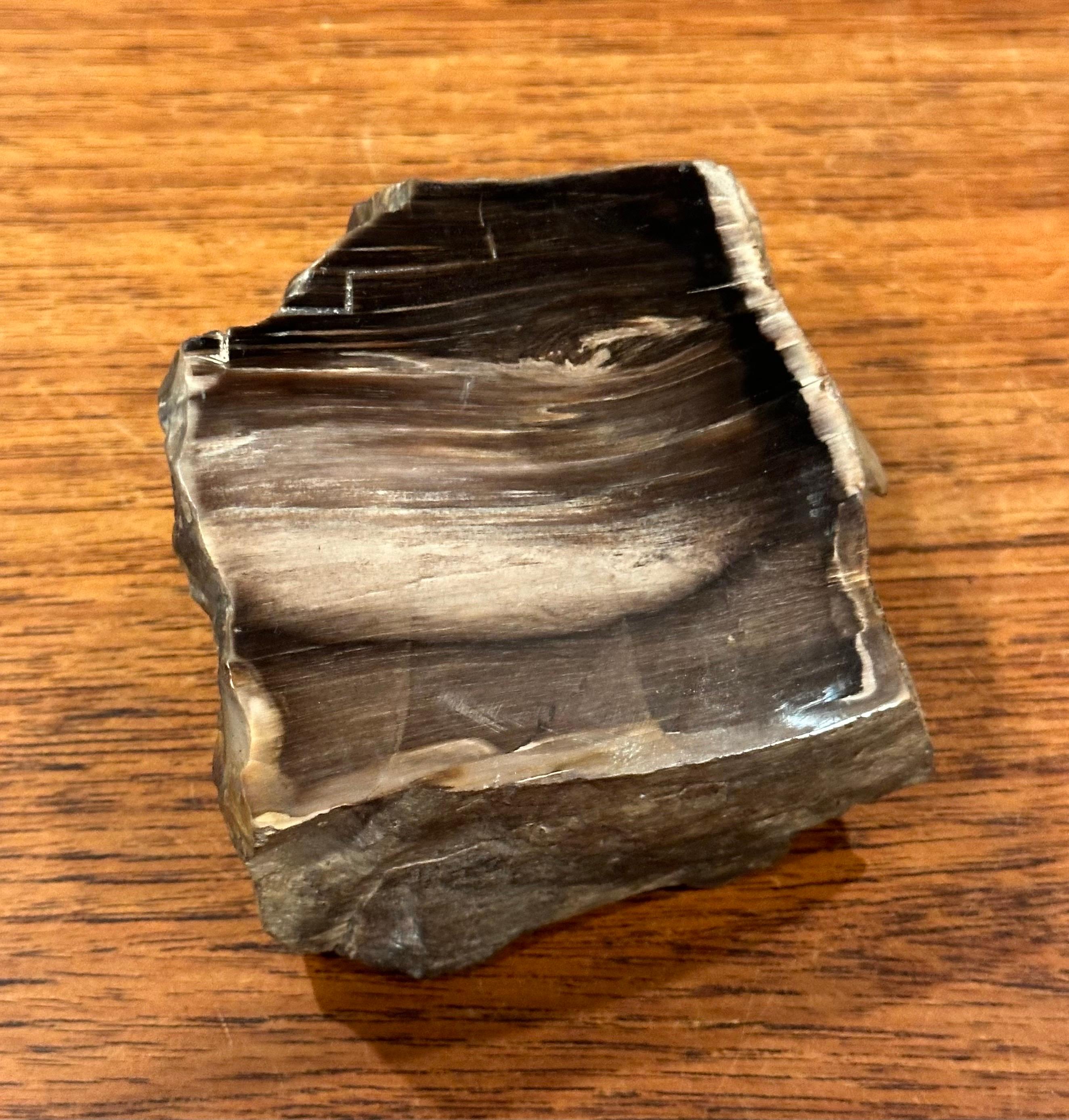 Vintage Petrified Wood Paperweight For Sale 2