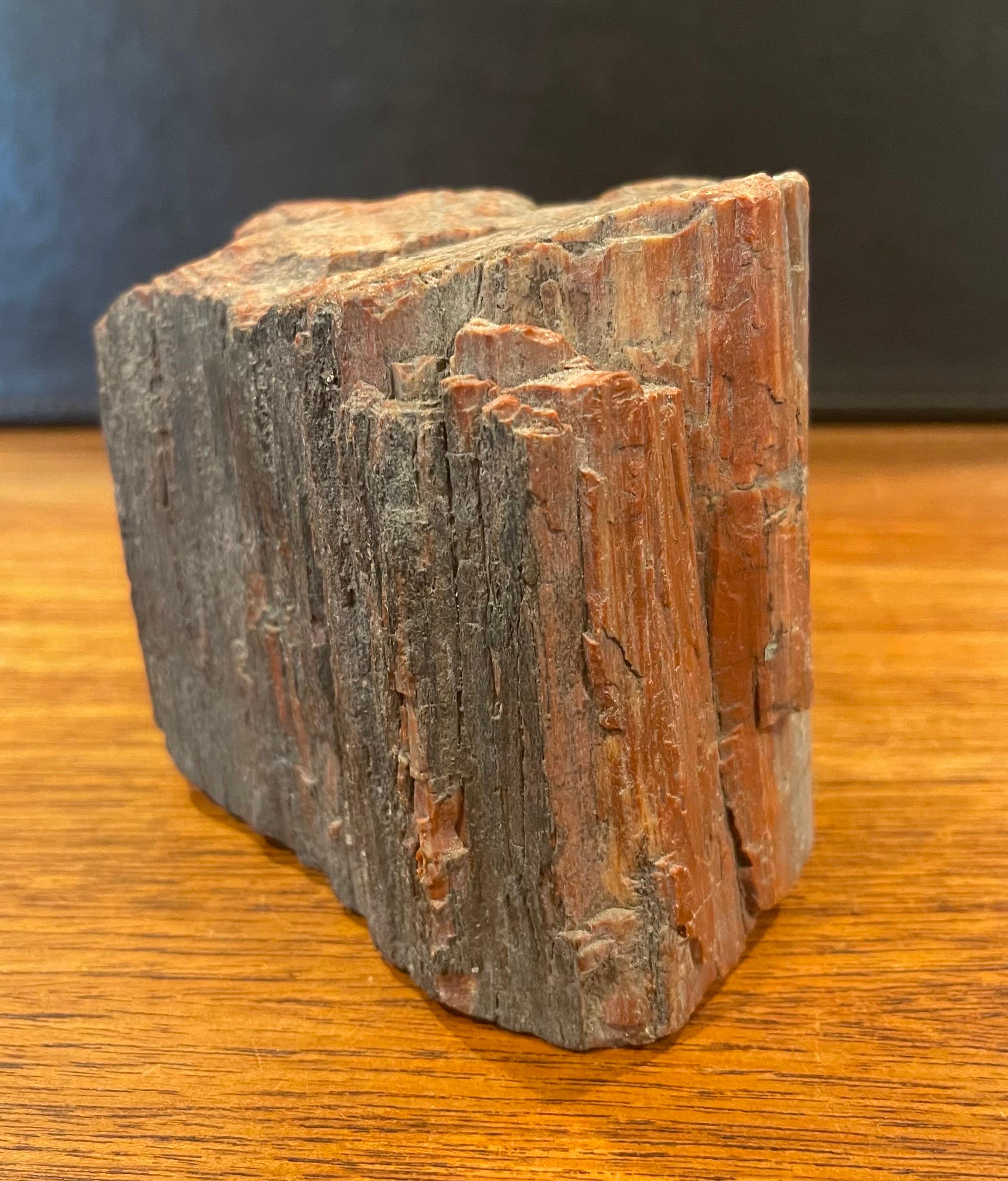 Vintage Petrified Wood Paperweight For Sale 3