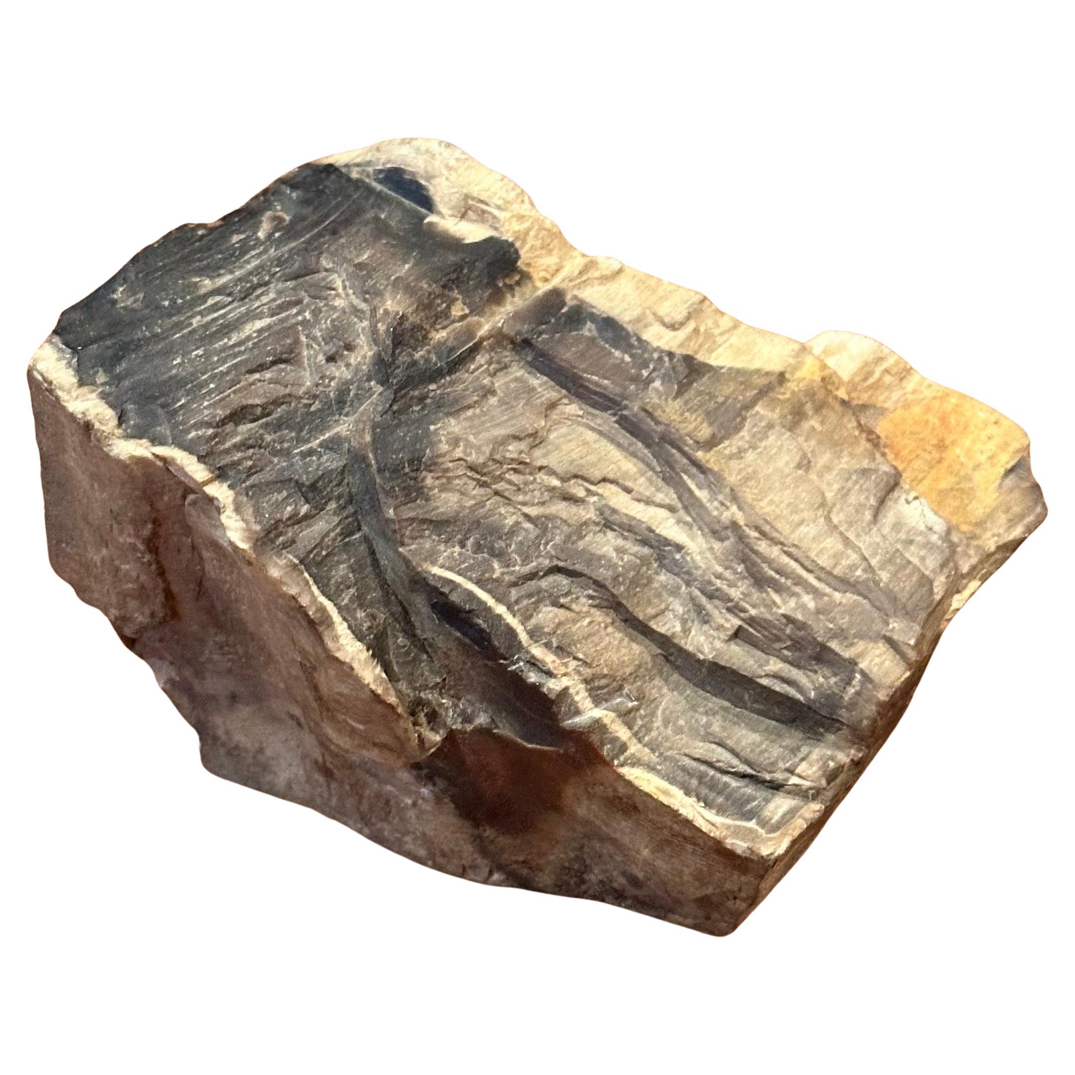 Vintage Petrified Wood Paperweight For Sale 3