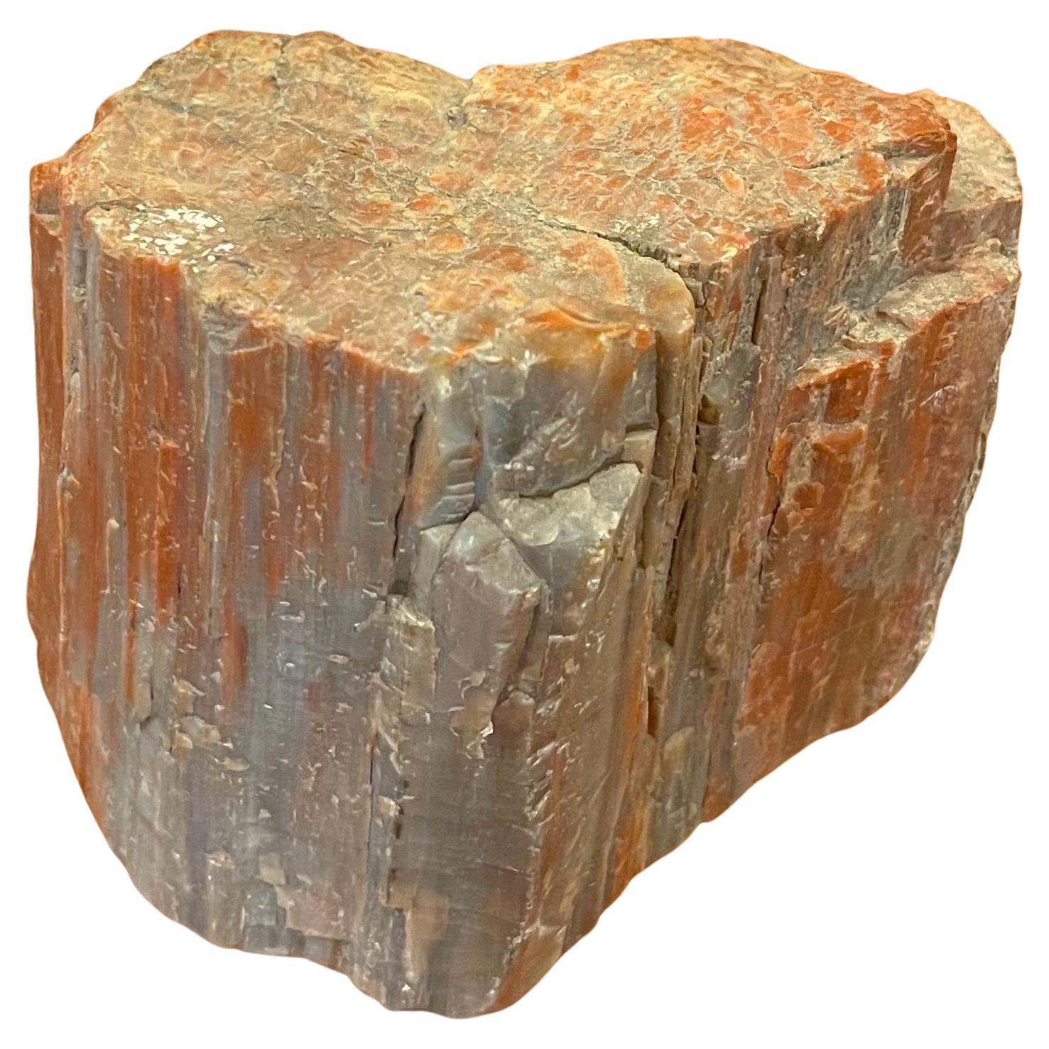 Vintage Petrified Wood Paperweight For Sale