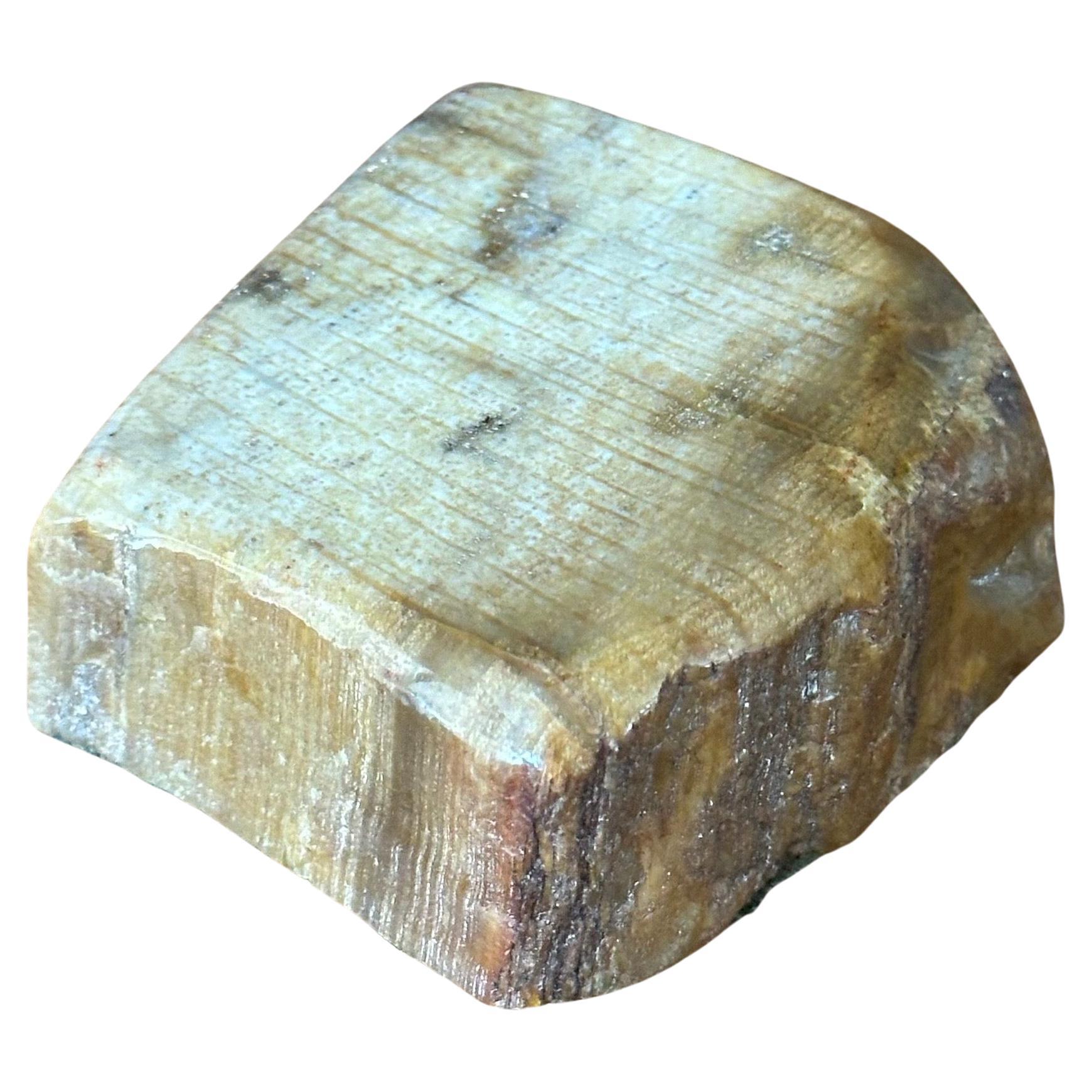 Vintage Petrified Wood Paperweight