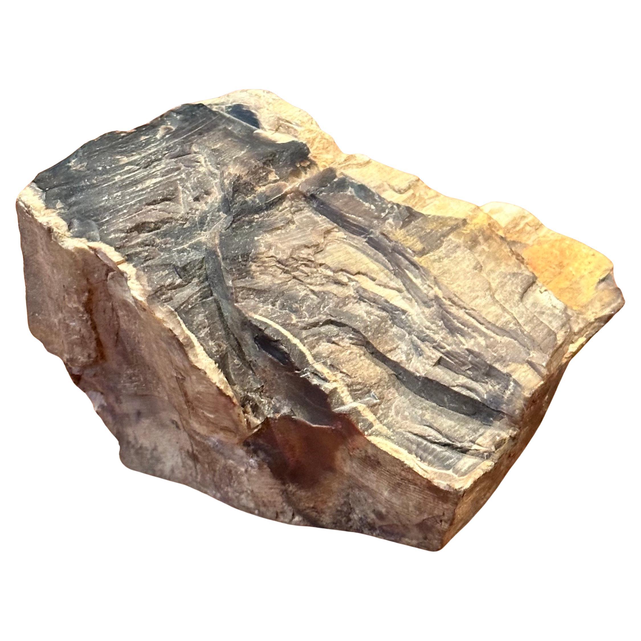 Vintage Petrified Wood Paperweight