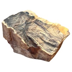 Vintage Petrified Wood Paperweight