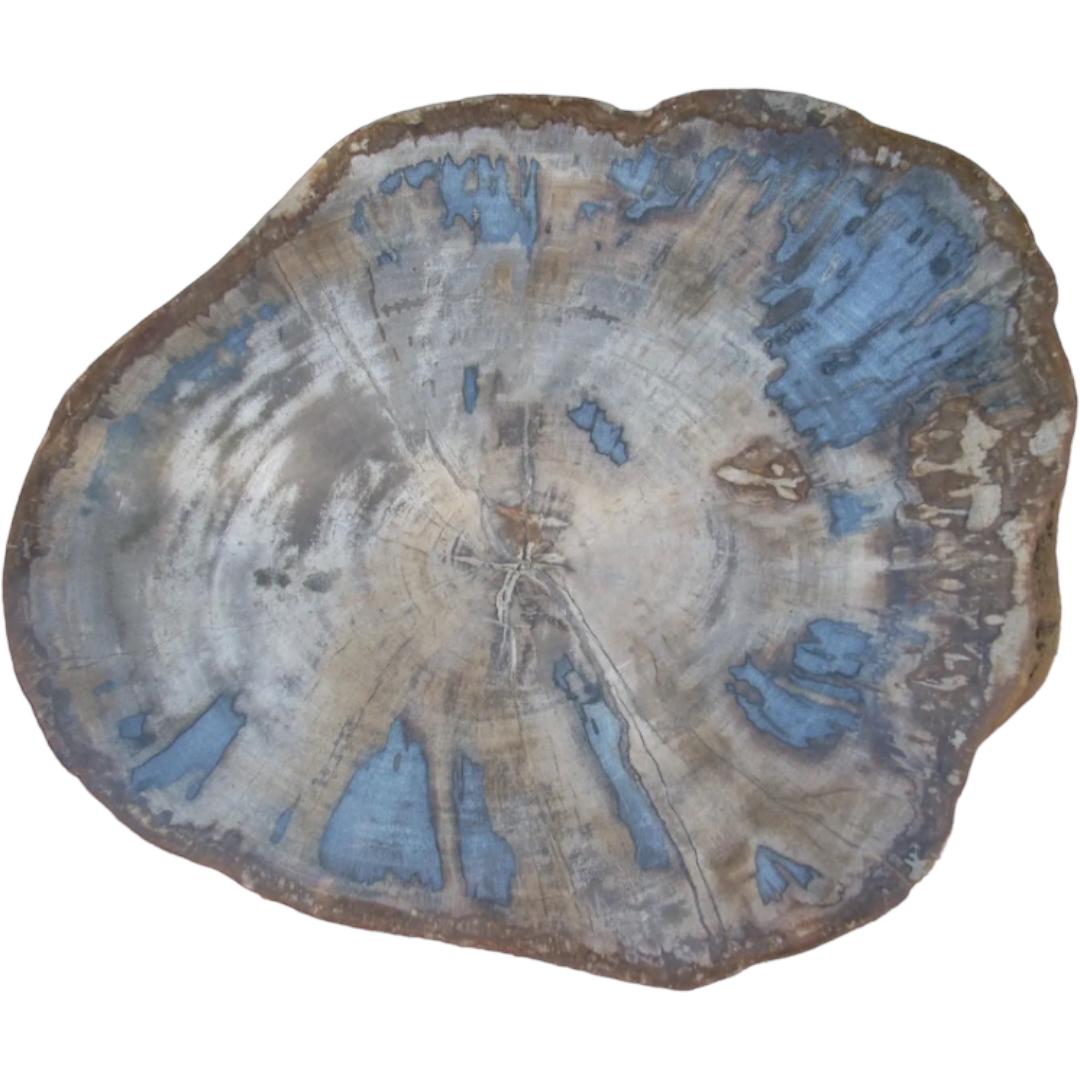 This vintage side table showcases stunning petrified wood.  Its unique beauty adds character to any room and is perfect for displaying your favorite decor.  The original, one of a kind piece is perfect for art collectors or anyone who appreciates