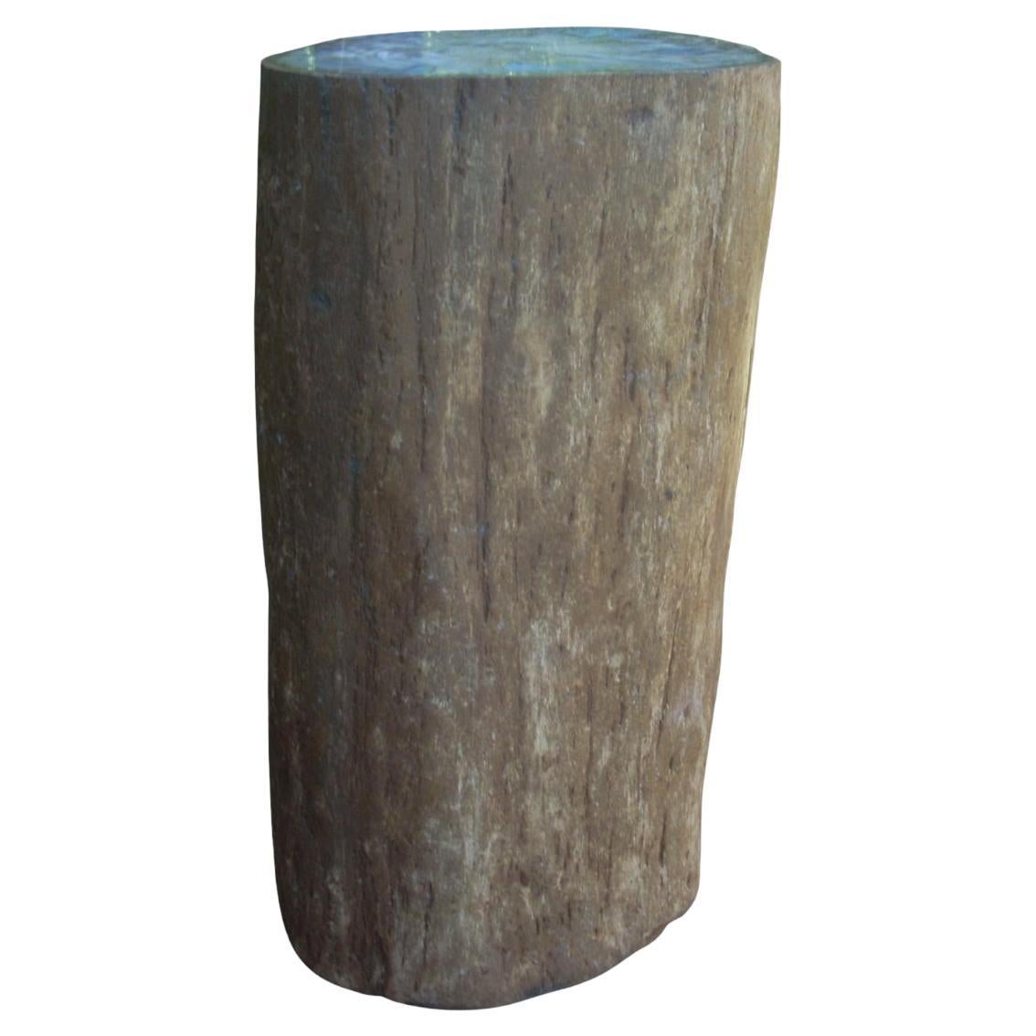 Vintage Petrified Wood Side Table For Sale