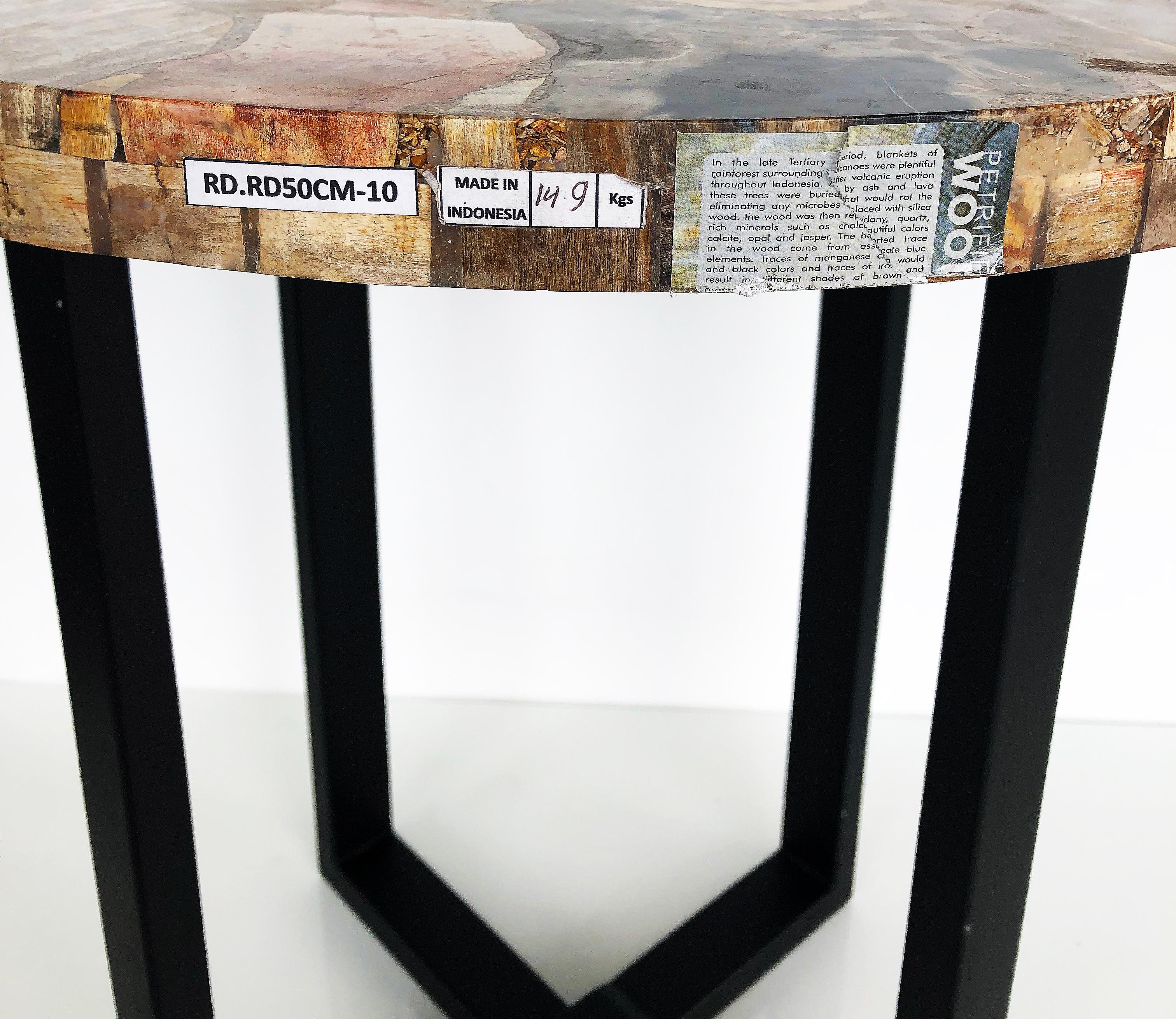 Vintage Petrified Wood Side Table on a Metal Base 3