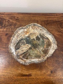 Vintage Petrified Wood Specimen Slab Catchall Tray, Sculptural Decor