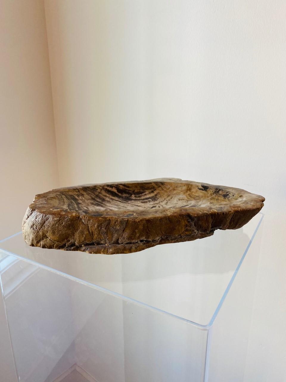 Organic Modern petrified wood bowl naturally fossilized throughout thousands of years. These rare pieces have been hand cut and feature the highest quality petrified wood with polished centers and natural live edges. Features streaks and veining in