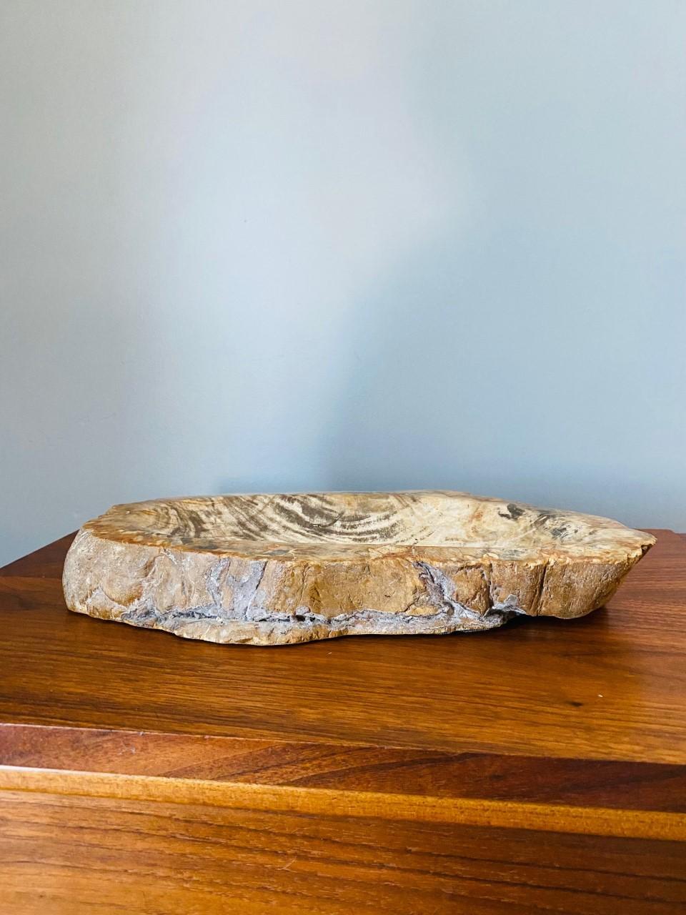 Vintage Petrified Wood Vide Poche In Good Condition In San Diego, CA