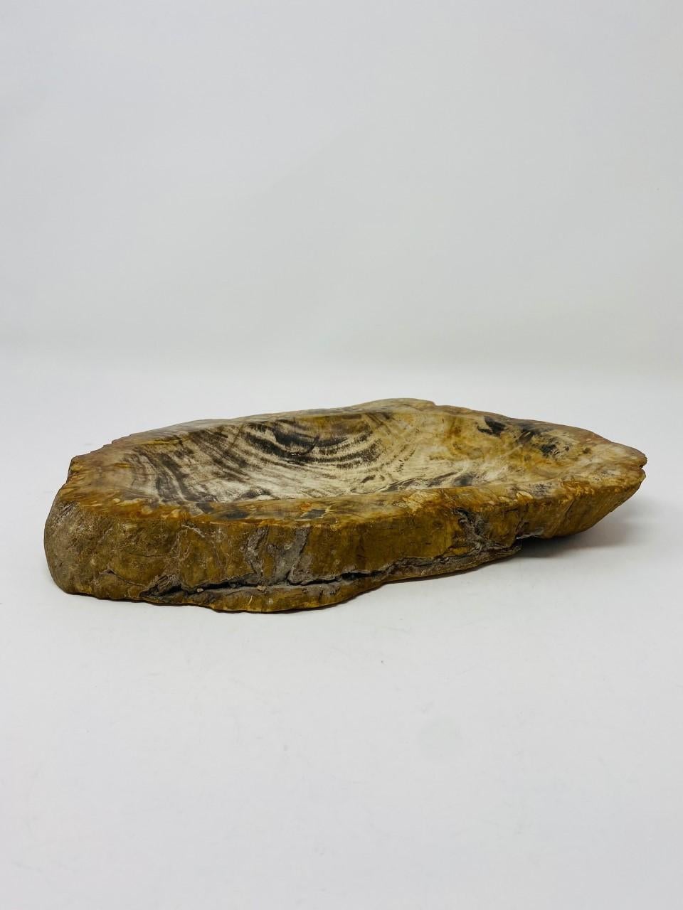Stone Vintage Petrified Wood Vide Poche