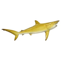 Vintage PFlueger 77" Große Fiberglas Mako Hai Replica Wandhalterung Display