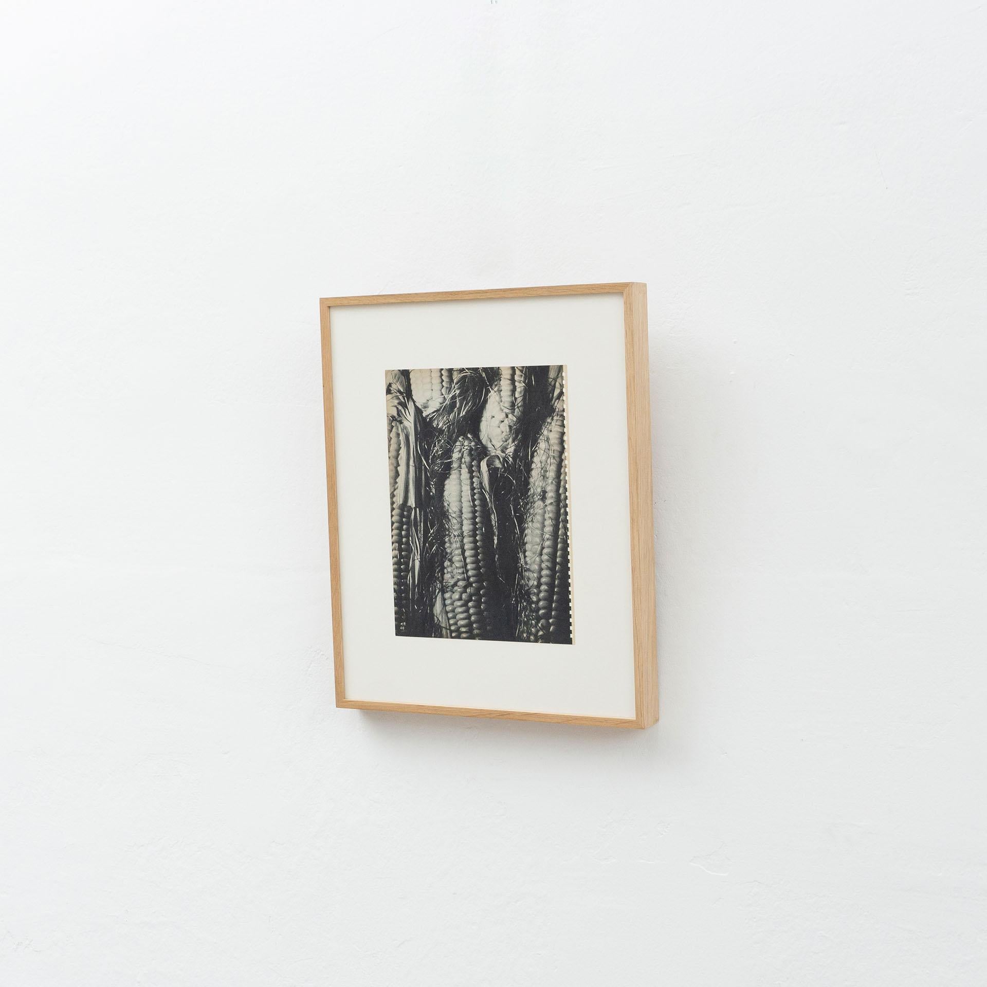 Mid-Century Modern Vintage Photo Gravure, circa 1940 For Sale