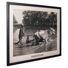Vintage Photograph, Rural Indonesia, Oriental, Monochrome, Java, Mid Century