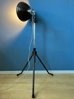 Vintage Photography Floor Lamp, 1970s
