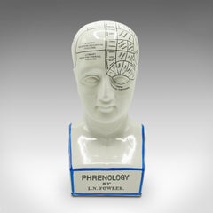 Vintage Phrenology Head, English, Ceramic, Decorative Bust, Medical, Display