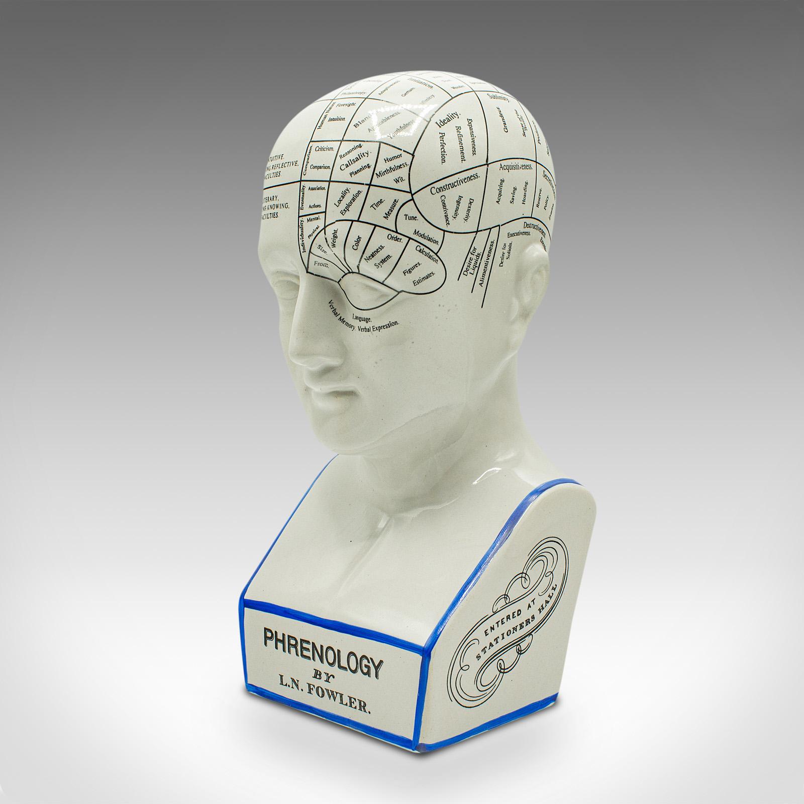 porcelain phrenology head statue