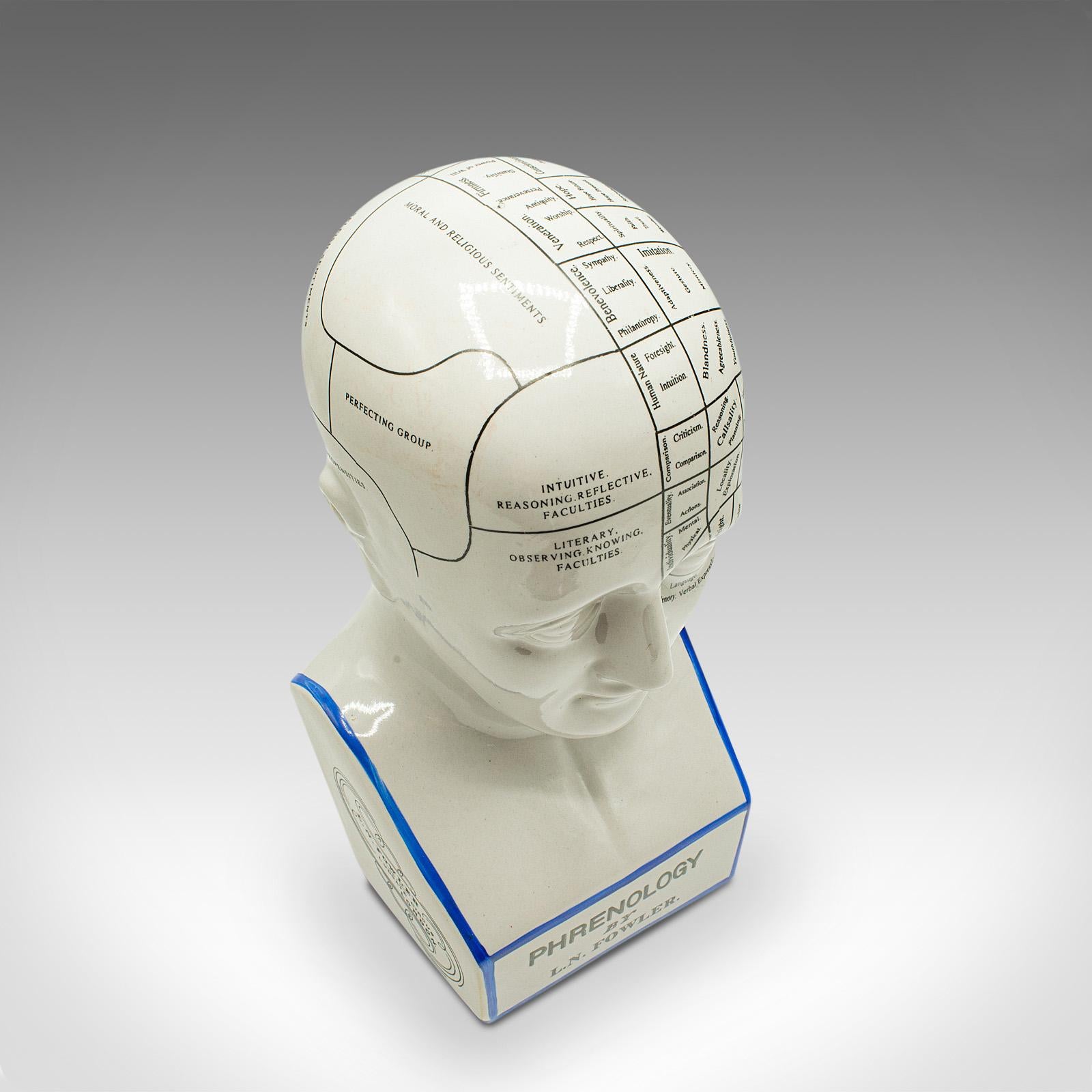 Vintage Phrenology Head, English, Ceramic, Decorative Bust, Medical, Display In Good Condition In Hele, Devon, GB