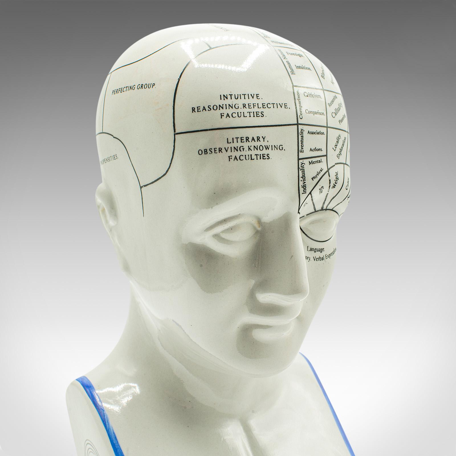 20th Century Vintage Phrenology Head, English, Ceramic, Decorative Bust, Medical, Display