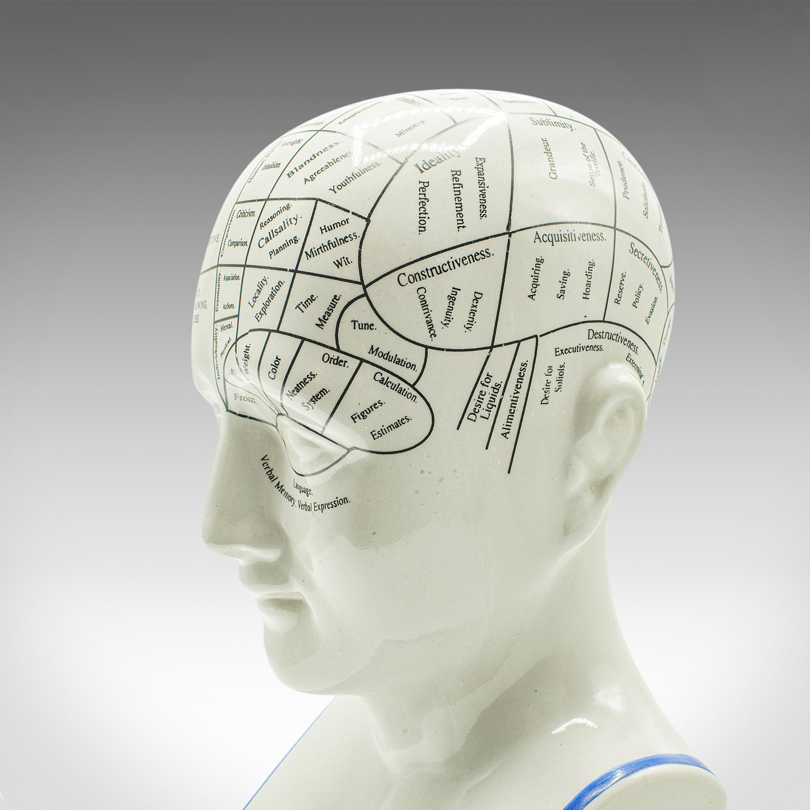 Vintage Phrenology Head, English, Ceramic, Decorative Bust, Medical, Display 1
