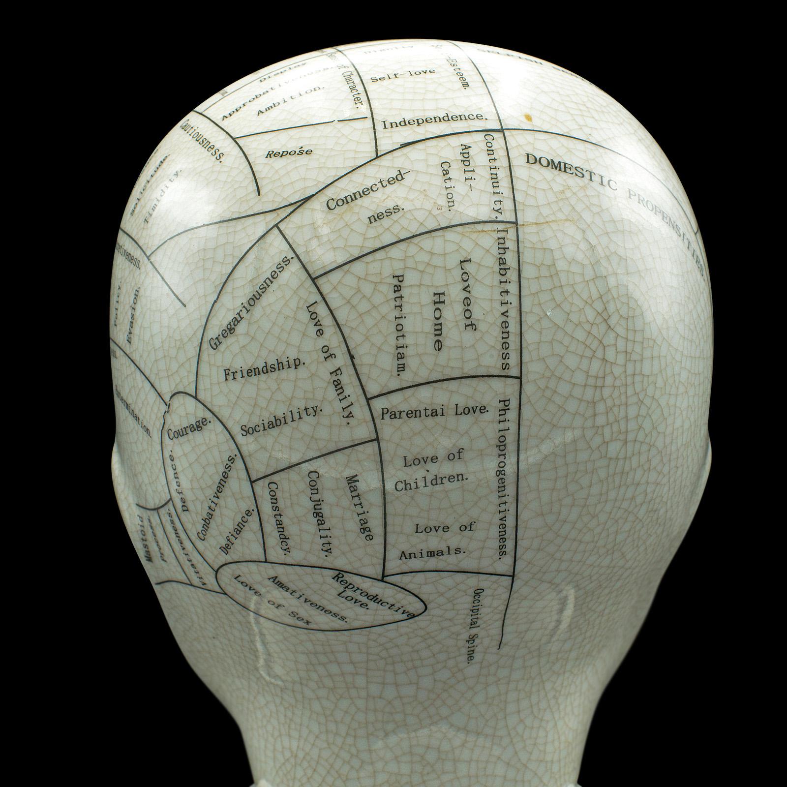 Adorno Vintage Cabeza Frenología, Inglés, Cerámica, Busto Decorativo, Circa 1970 finales del siglo XX en venta