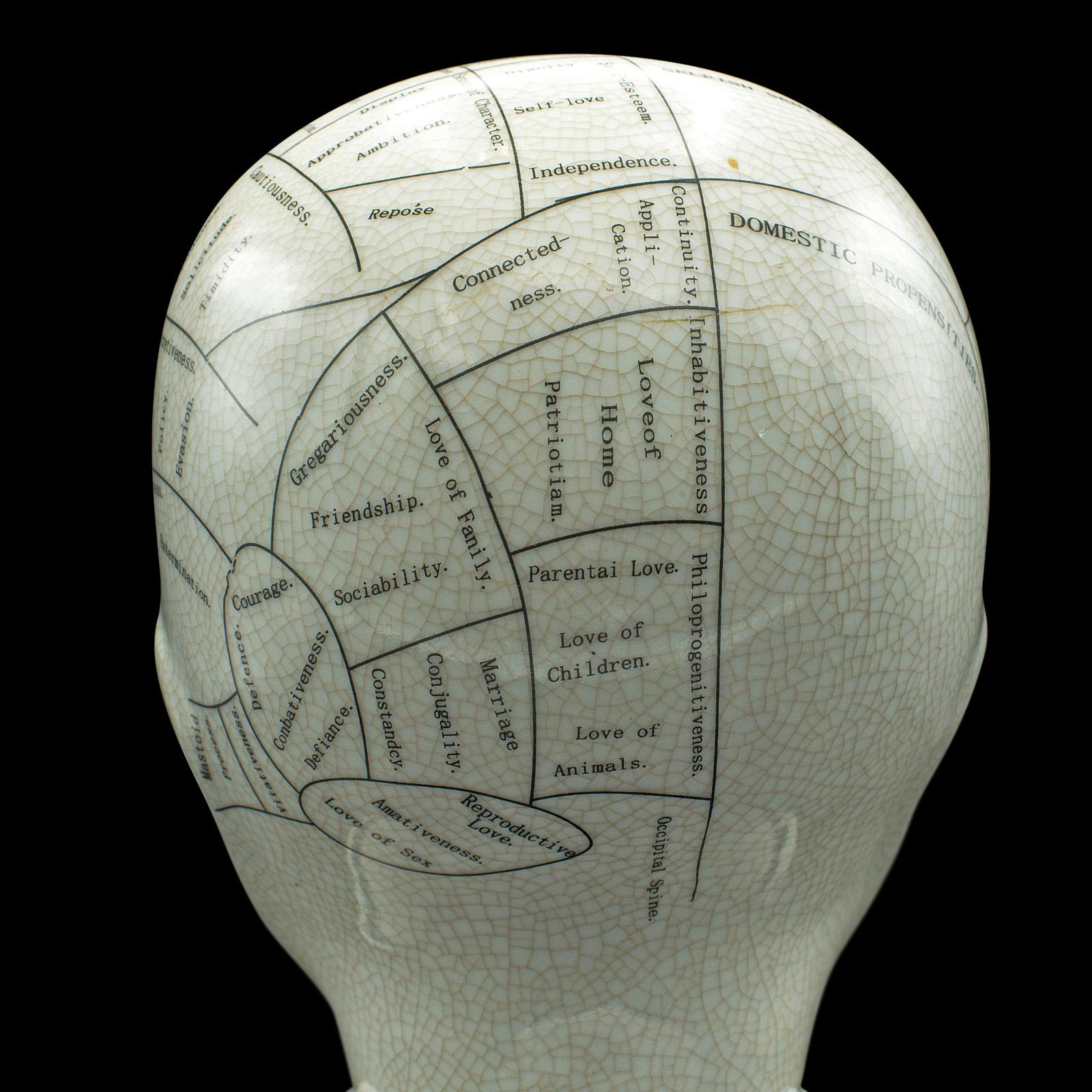 Vintage Phrenology-Kopf-Dekoration, englisch, Keramik, dekorative Büste, um 1970 im Angebot 2