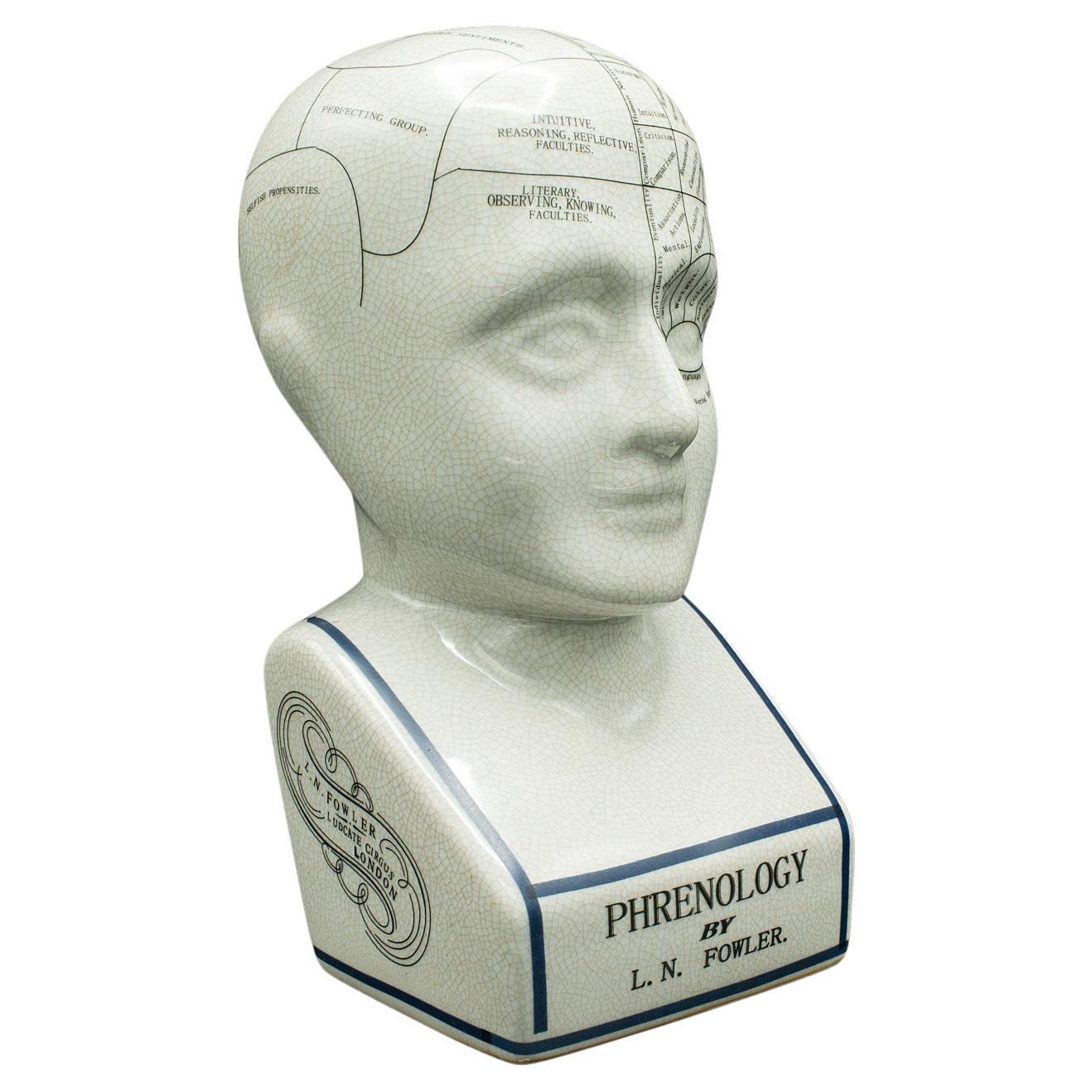 Vintage Phrenology Head Ornament, English, Ceramic, Decorative Bust, Circa 1970 For Sale