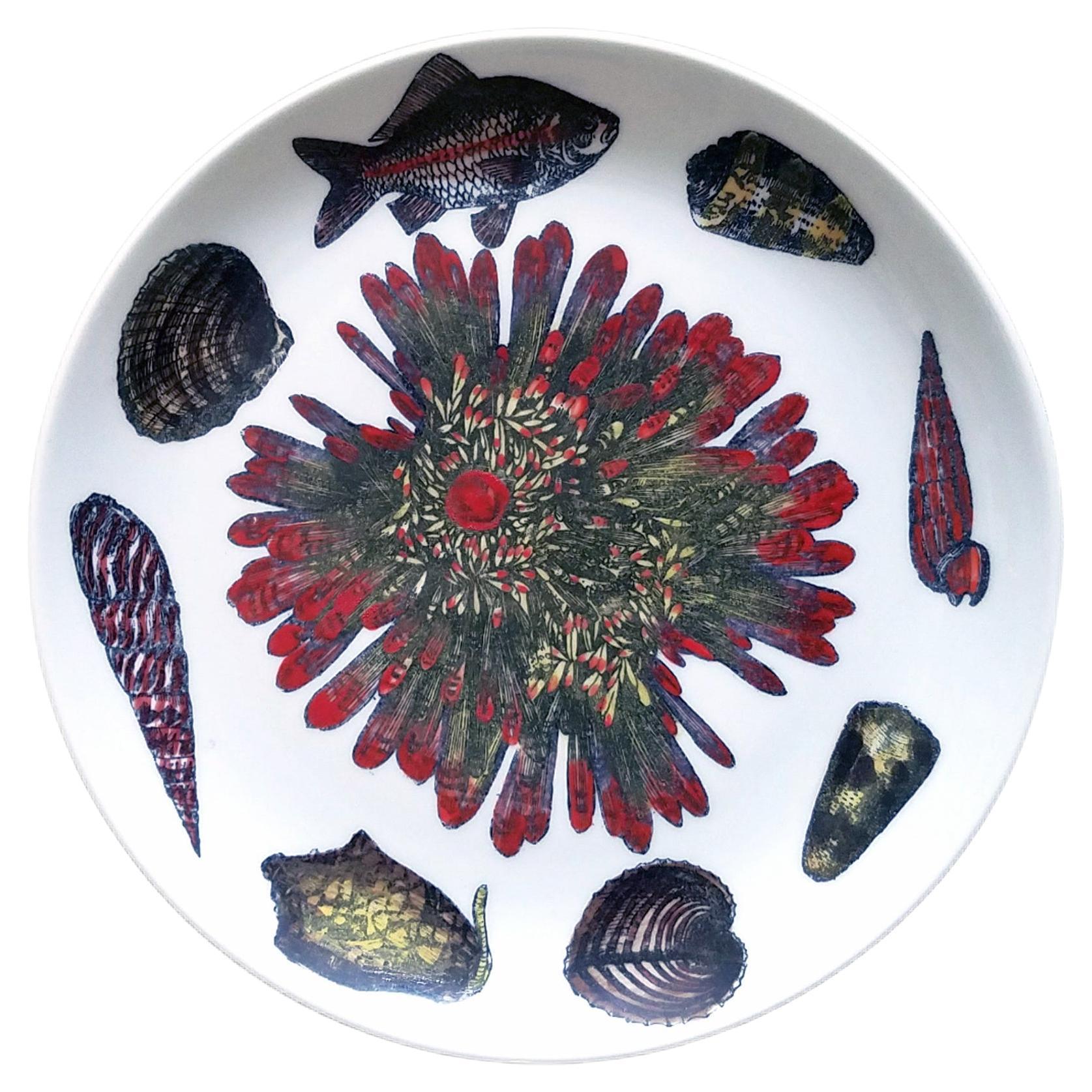 Piatto d
epoca Piero Fornasetti con motivo Conchiglie decorato con creature marine in vendita